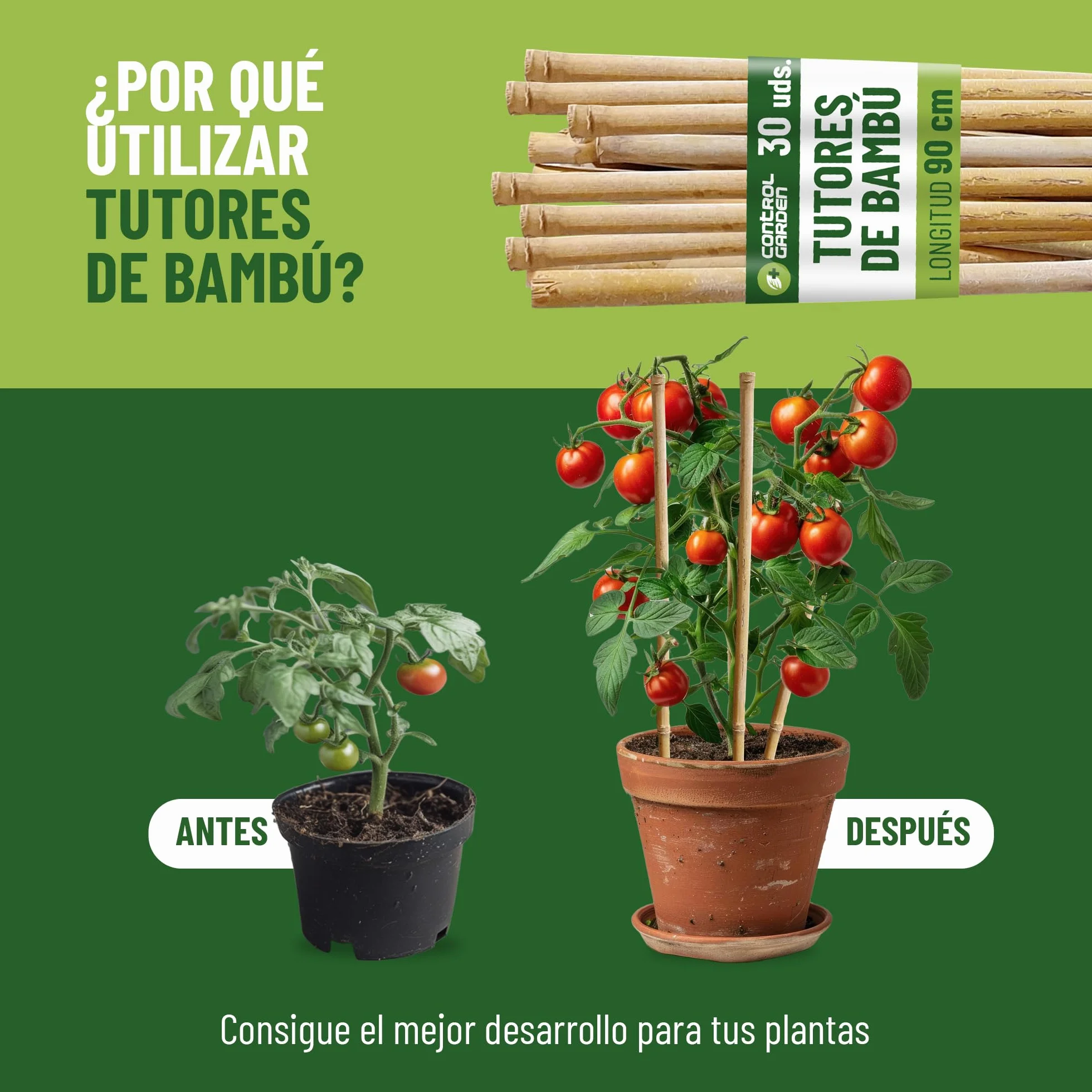 Control Garden Pack 30 Unidades Tutor de Bambú Ecológico de 210 cm | Estaca Natural Caña Sujetar Plantas ø 14-16 | Varillas Árboles, Hortalizas, Enredaderas y Cultivos