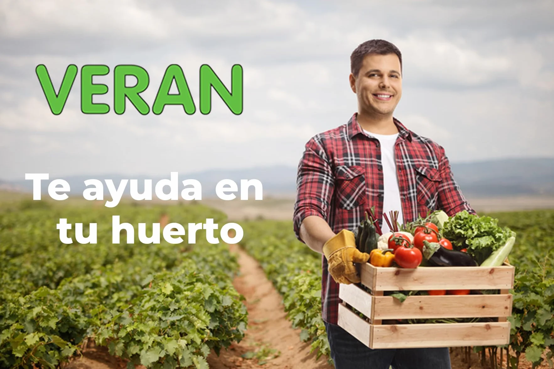 VERAN Quelatos de Hierro 200g | Aporte de Hierro Biocompatible para Plantas | Reverdeciente de Plantas Terrestres y de Acuario | Abono Quelato de Hierro Contra la Clorosis Férrica 100% Soluble en Agua