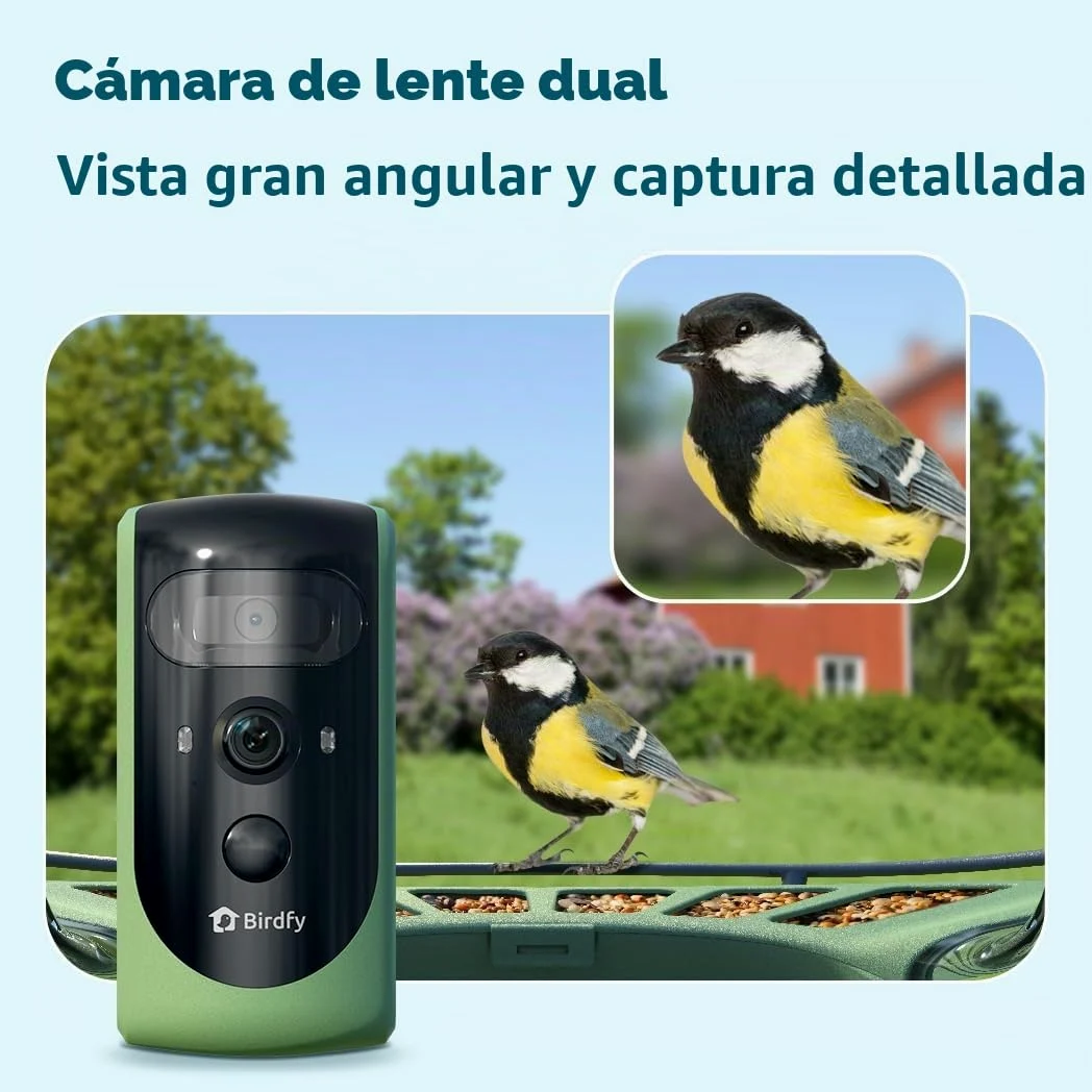 Birdfy 2 Pro - Alimentador de pájaros con 2 K Dual-Camera para observación, identificación de Especies de Aves AI, Video a cámara Lenta, visión Nocturna en Color, notificaciones en Tiempo Real