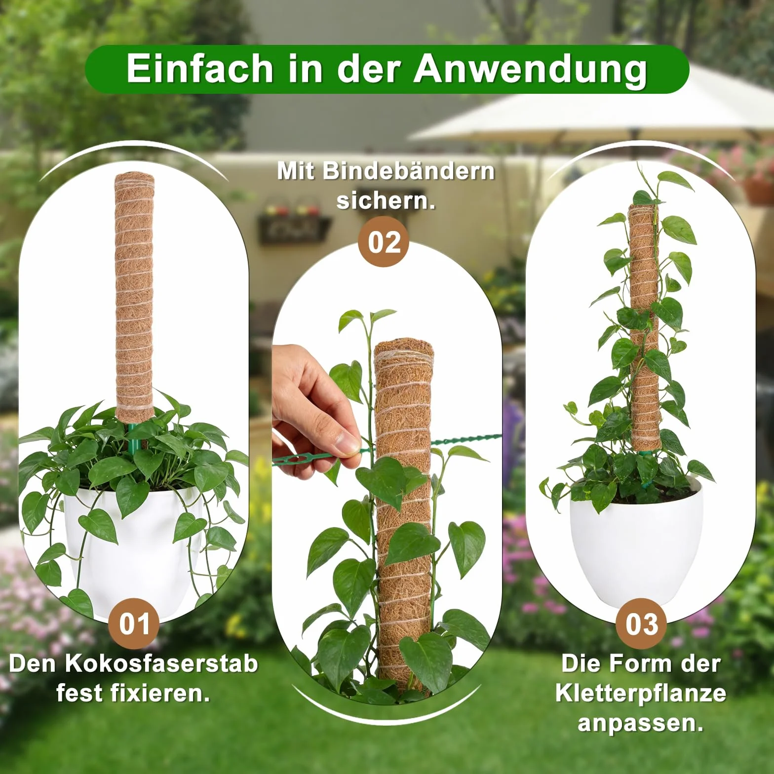HOVIN Soporte trepador para Monstera de coco – 4 tutores extensibles de musgo, 40 cm – Para plantas trepadoras en interiores y jardines