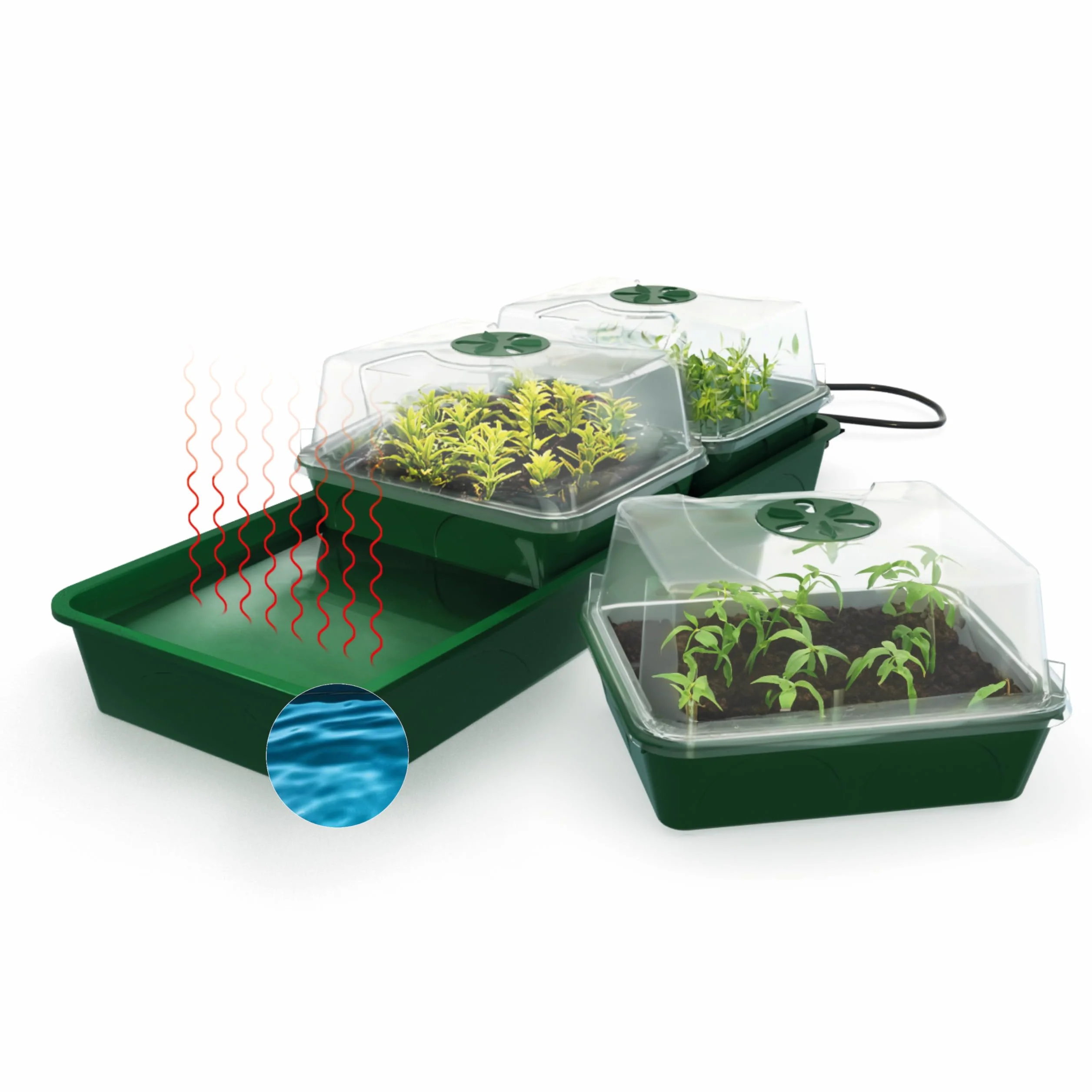 Bio Green Productos de Cultivo estación de Cultivo Hollandia, Multicolor