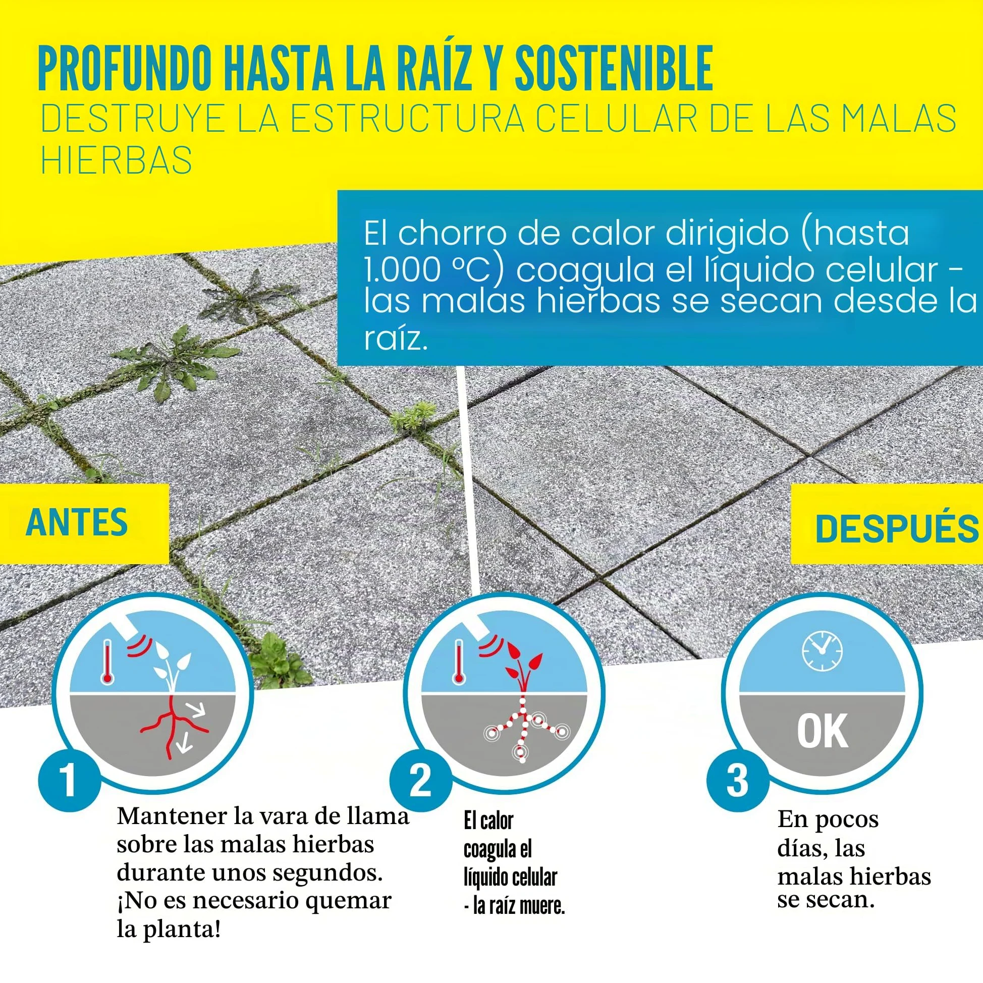 Gloria Bio Professional Plus - Juego de Quemador de Malas Hierbas a Gas, Potente y Duradero, para Grandes Superficies, conexión a Cartucho de Gas a presión, para la maleza del jardín y de los Caminos