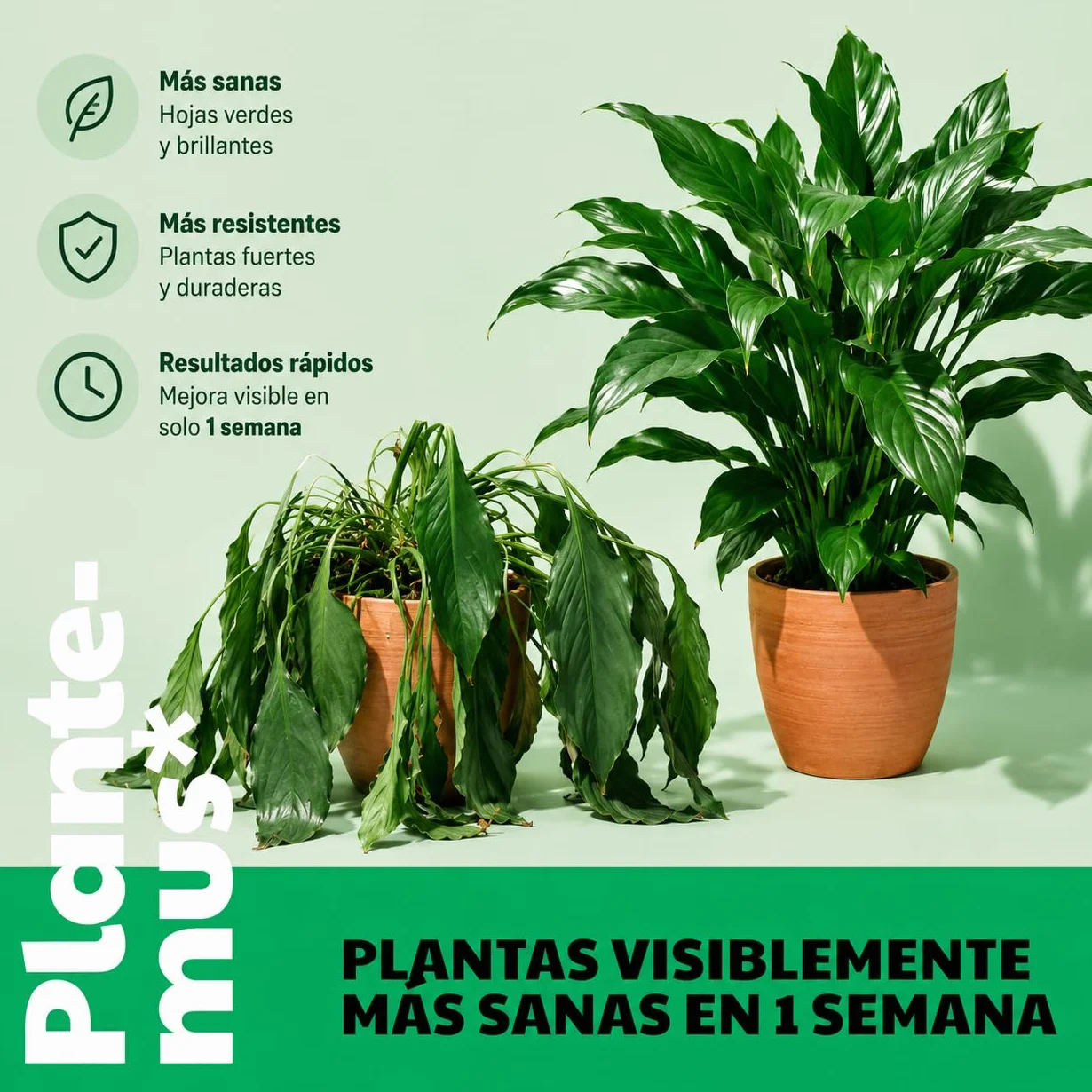 PLANTEMUS Fertilizante Plantas Verdes Universal Líquido, Bonsai, Cactus, Suculentas para Interior y Exterior. Abono Calidad Profesional 1 L