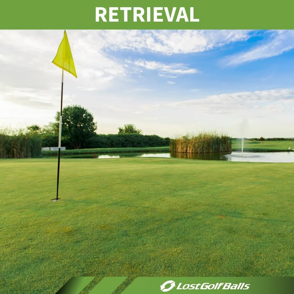 Titleist Recarga Pelotas de Golf Recicladas 24 Unidades