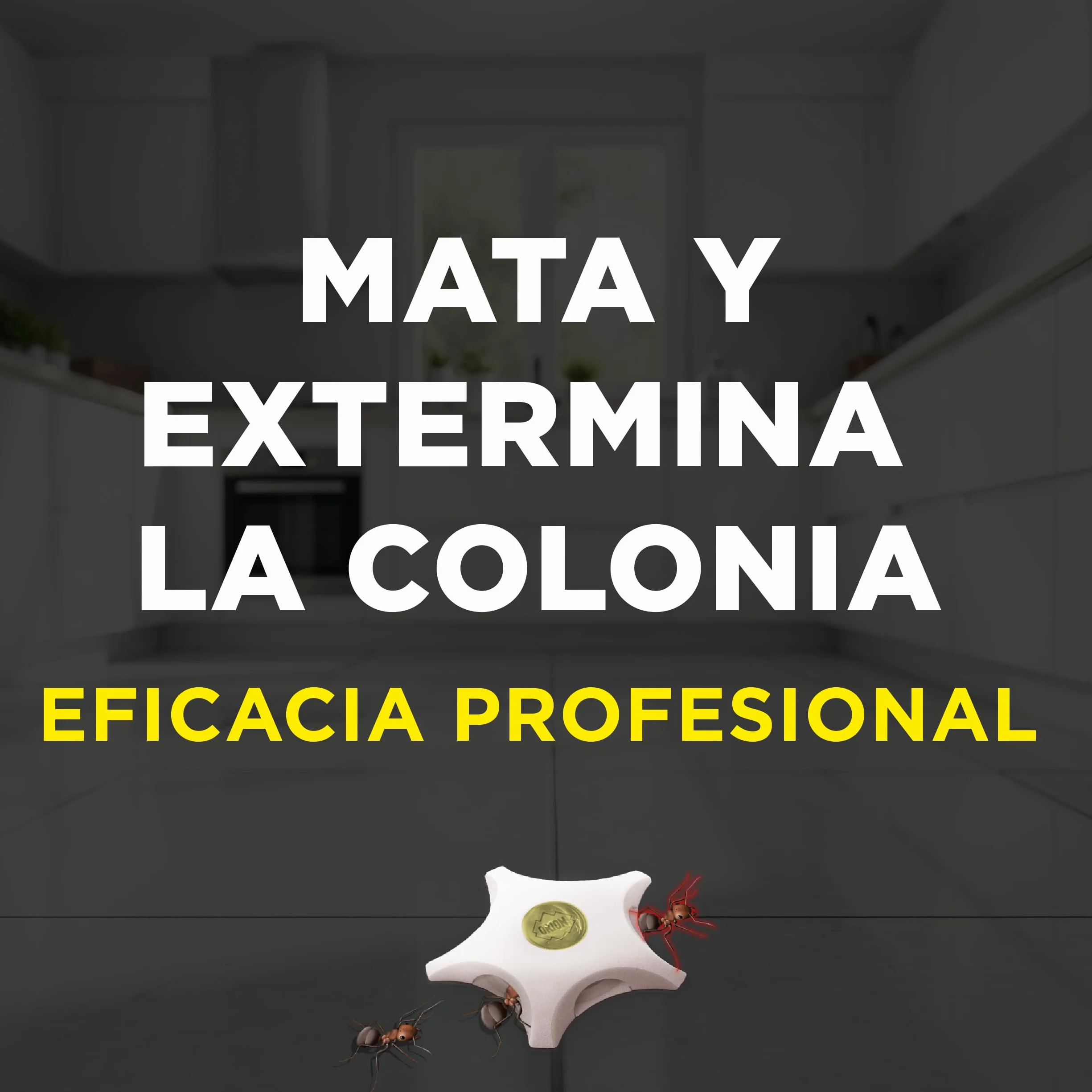 Orion - Cebo Mata Hormigas, Elimina la Colonia y la Reina, Gel de Alta Atracción, Acción Prolongada, Eficacia Profesional para el Hogar - 2 uds
