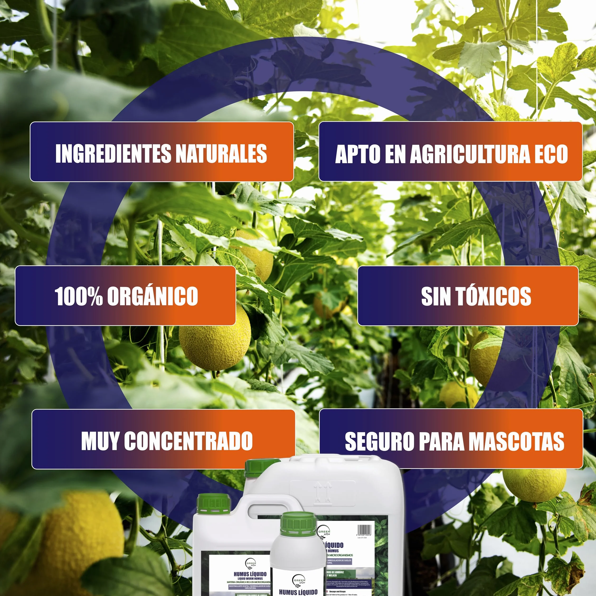 GREENGOF Humus Líquido de Lombriz Premium 1L. Enriquecido con Leonardita y Melaza. Fertilizante Rico en Microorganismos. Acelera el crecimiento de las Plantas. Aumenta el tamaño y cantidad de Frutos.