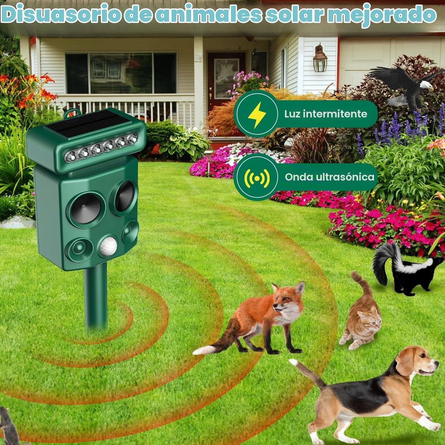 Repelente para Gatos, Ahuyentador de pájaros, IP65 Impermeable, disuasión Solar ultrasónico, Ahuyentador de Ratas con LED Intermitentes, Perros, Ratones, Zorros