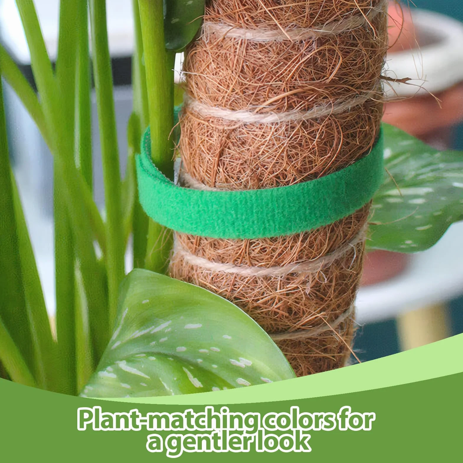 2PCS 15 m 15m Brida para Plantas Cinta,10mm Cinta para Plantas autoadhesiva,Cinta para Plantas de Exterior Reutilizable,Ideal para Fijación Planta Corbatas Cinta,Jardinería Cinta,Frutas y Flores