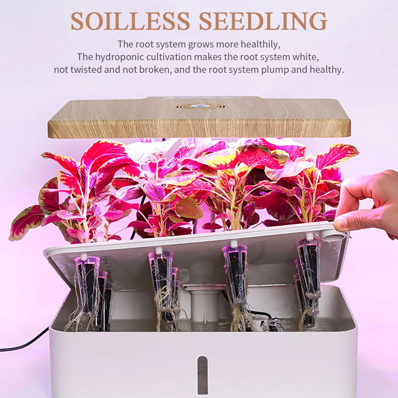 12 Pzs Esponjas para Cultivo Hidropónico Esponjas de Crecimiento Esponjas de Repuesto para Crecimiento de Raíces Tapones de Inicio de Semillas para Sistema de Cultivo Hidropónico Interior Jardín