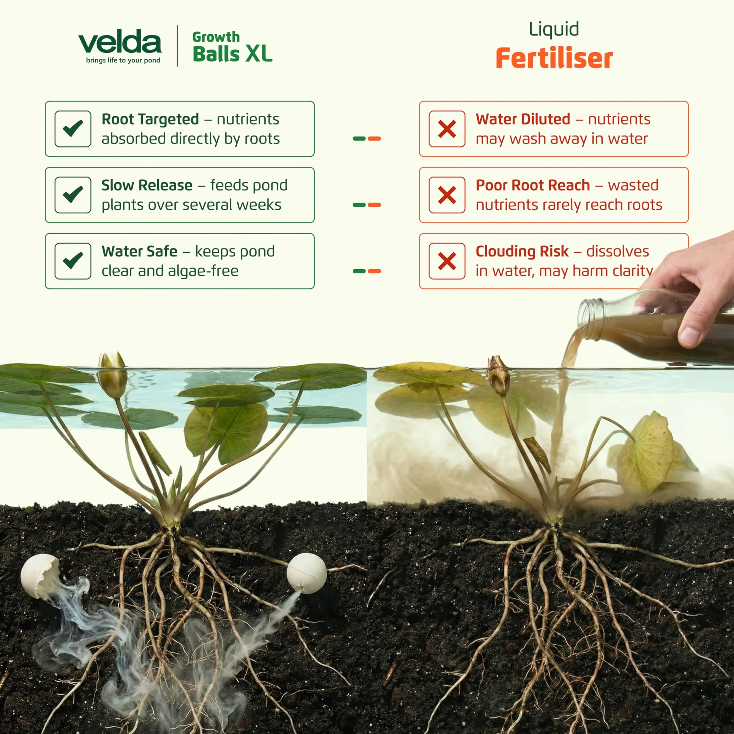 Velda 122256 Super Super abono de crecimiento para las plantas acuáticas, 55 bolas pelotas XL