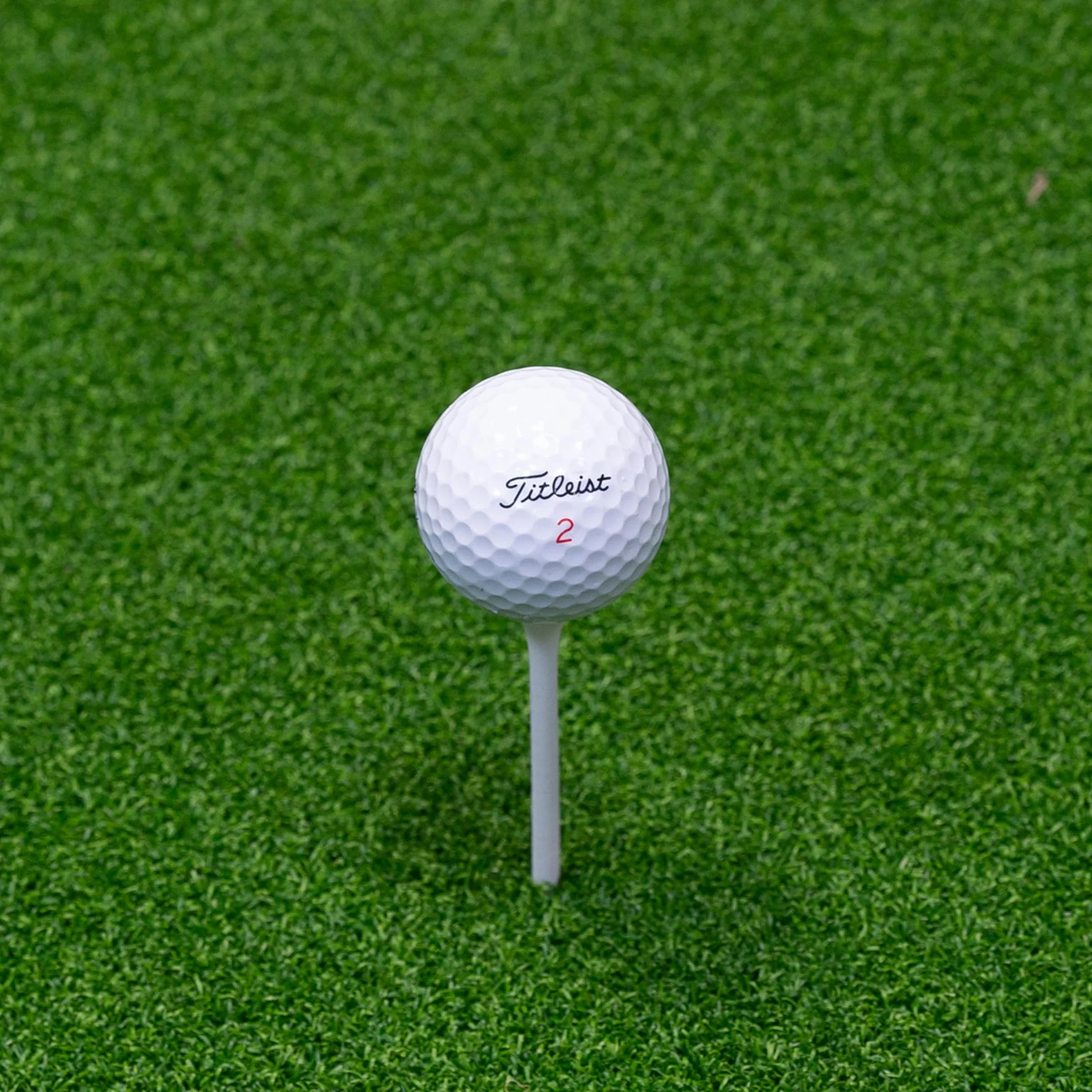 Longridge Tees de golf blancos de madera