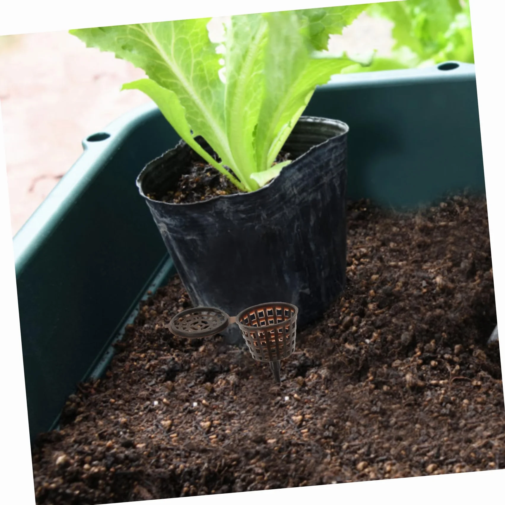 Caja De Fertilizante para Bonsái 20 Piezas con Tapa Contenedor De Abono para Plantas Pequeñas Protector contra Animales Y Viento Ideal para Orquídeas Y Jardín