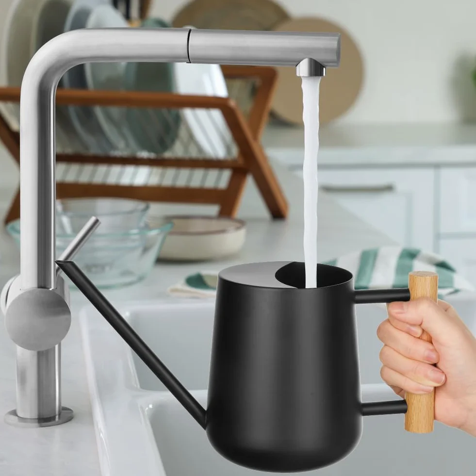 OFFCUP 35oz 1L Regadera Pequeña, Regadera de Acero Inoxidable para Jardín, Regadera con Caño Largo y Cómodo Mango de Madera, Regadera para Plantas, para Vivienda Exteriores Interior (Negro)