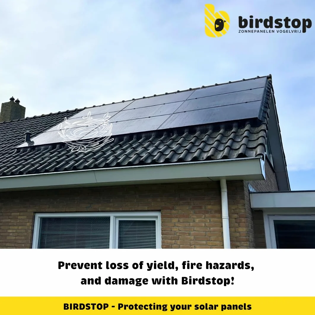 Juego de protección contra pájaros fotovoltaico, sistema solar antipalomas, 10 metros, 12 cm de altura, 4 piezas de esquina y fijación, ahuyentador de palomas fotovoltaico