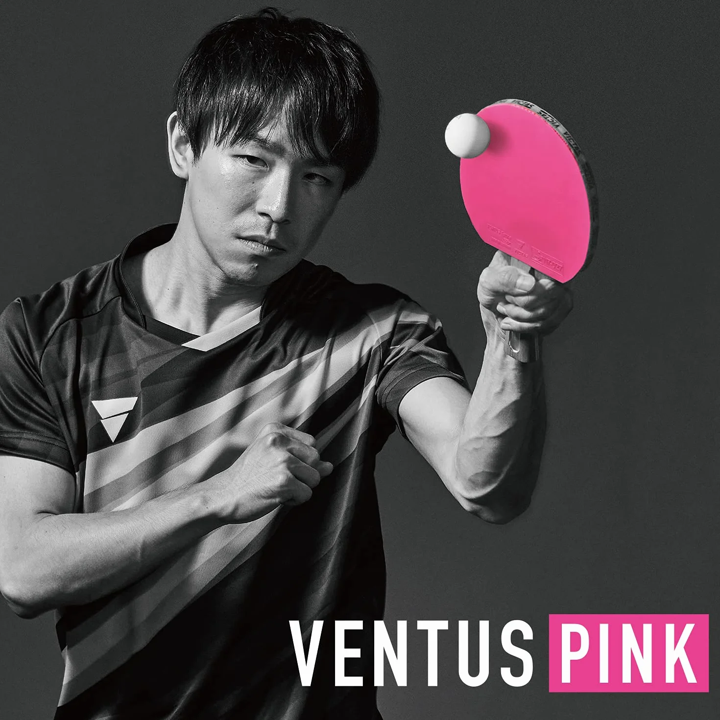 VICTAS Ventus Limber Revestimiento