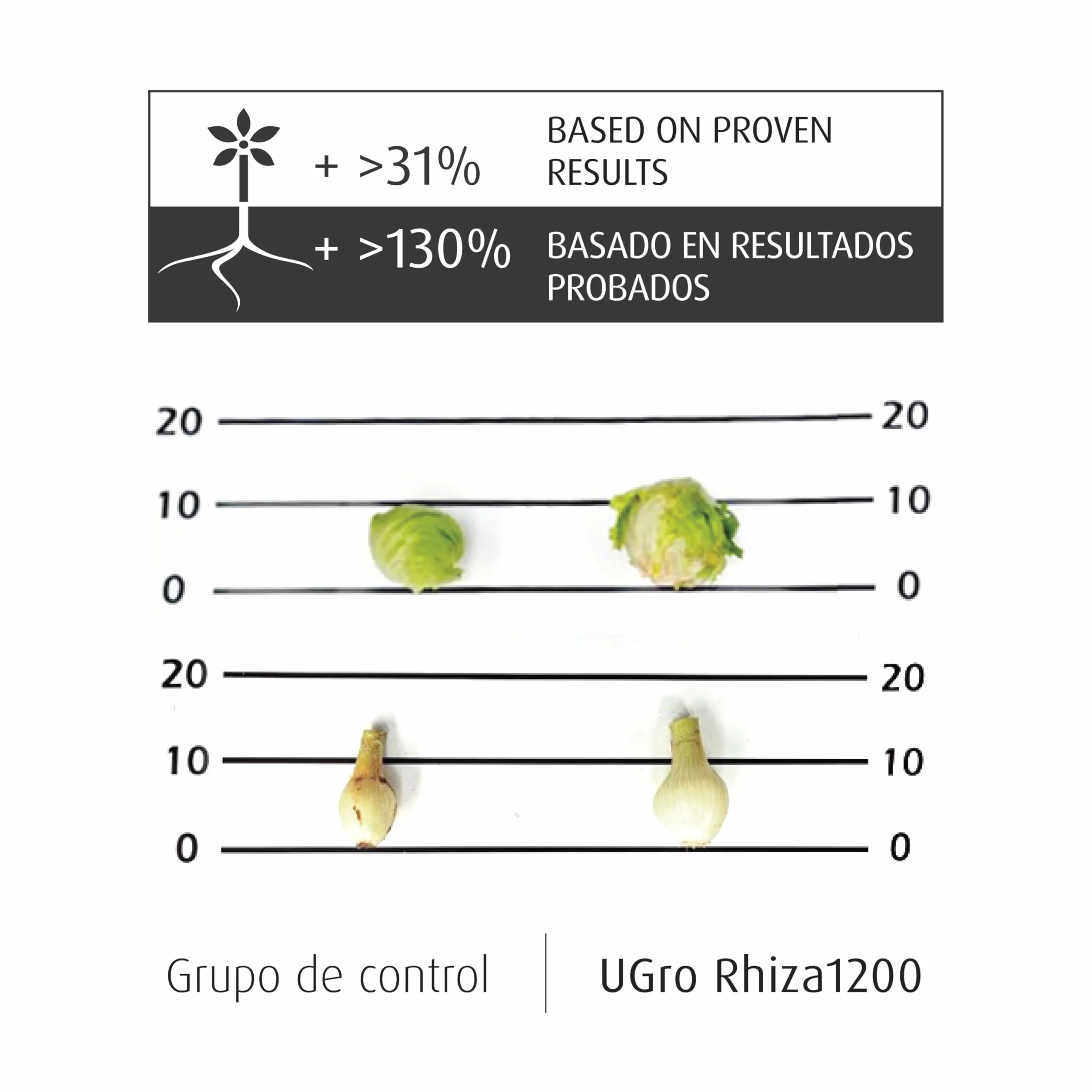 UGro Rhiza1200 - Micorrizas Naturales, Hongos beneficiosos que estimulan el Crecimiento y Mejoran la Nutrición de las Plantas. Para el desarrollo Rápido de las Raíces