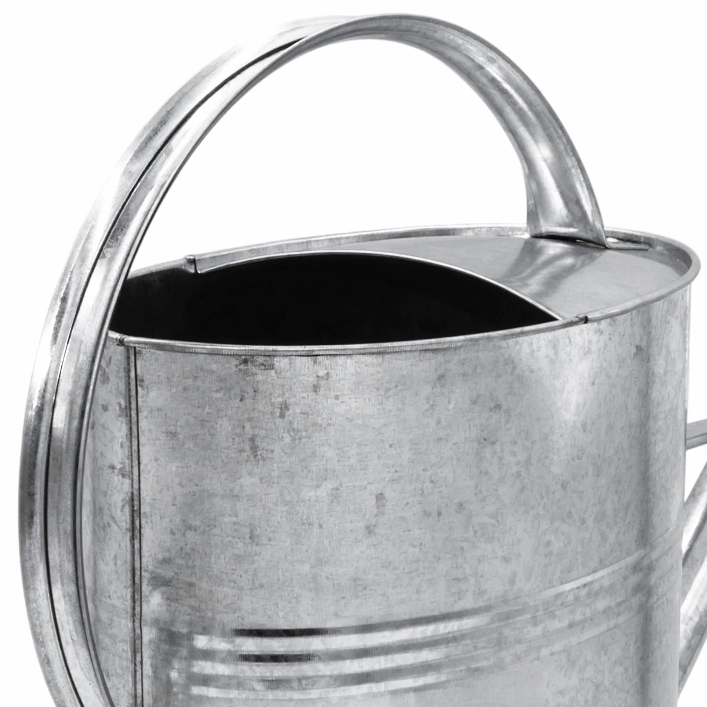 Regadera de jardín galvanizado 10 L, interior y exterior, metal con cabezal de ducha desmontable, zinc nostálgico resistente a las inclemencias del tiempo