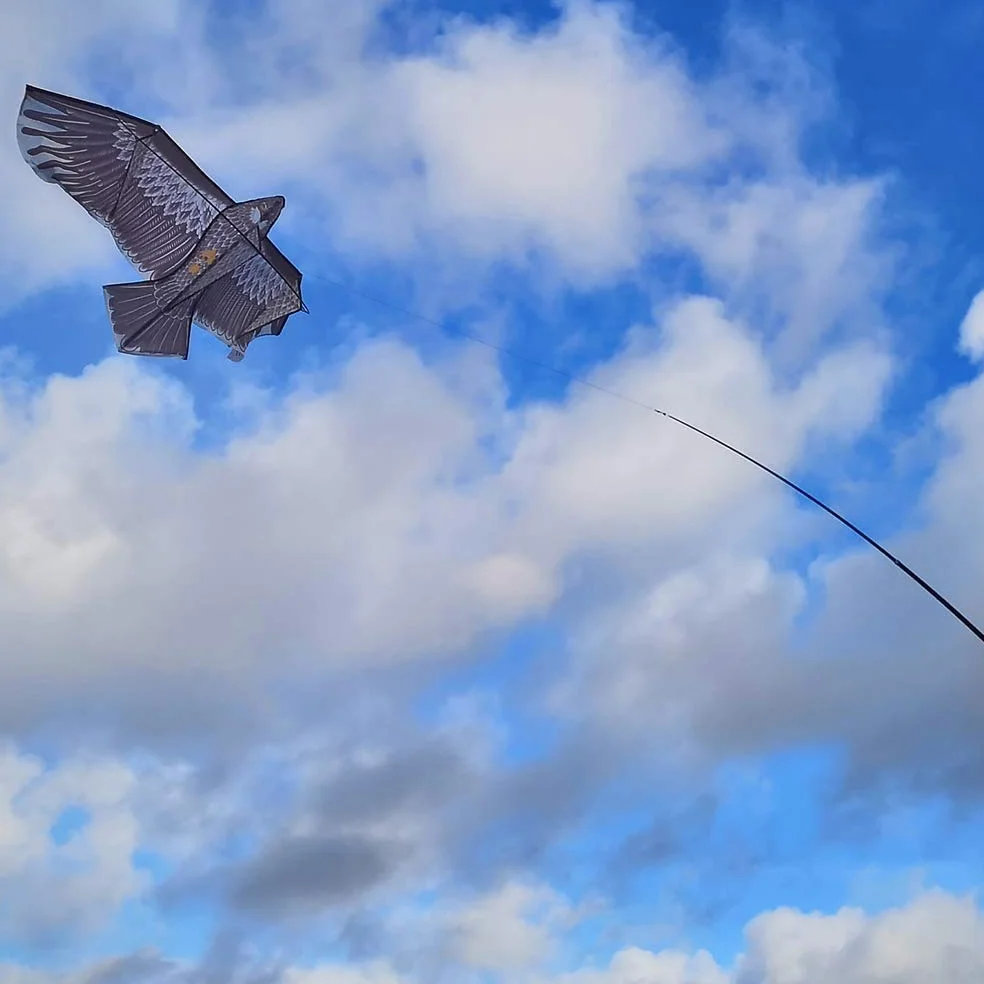 BricoLoco Lote 2 uds. Cometa halcón de Vela espantapájaros para huerto y jardín. Espantapájaros eólico. Ahuyentador, Anti Palomas y Aves. Ideal Parcelas 500 Metros o Mayores.