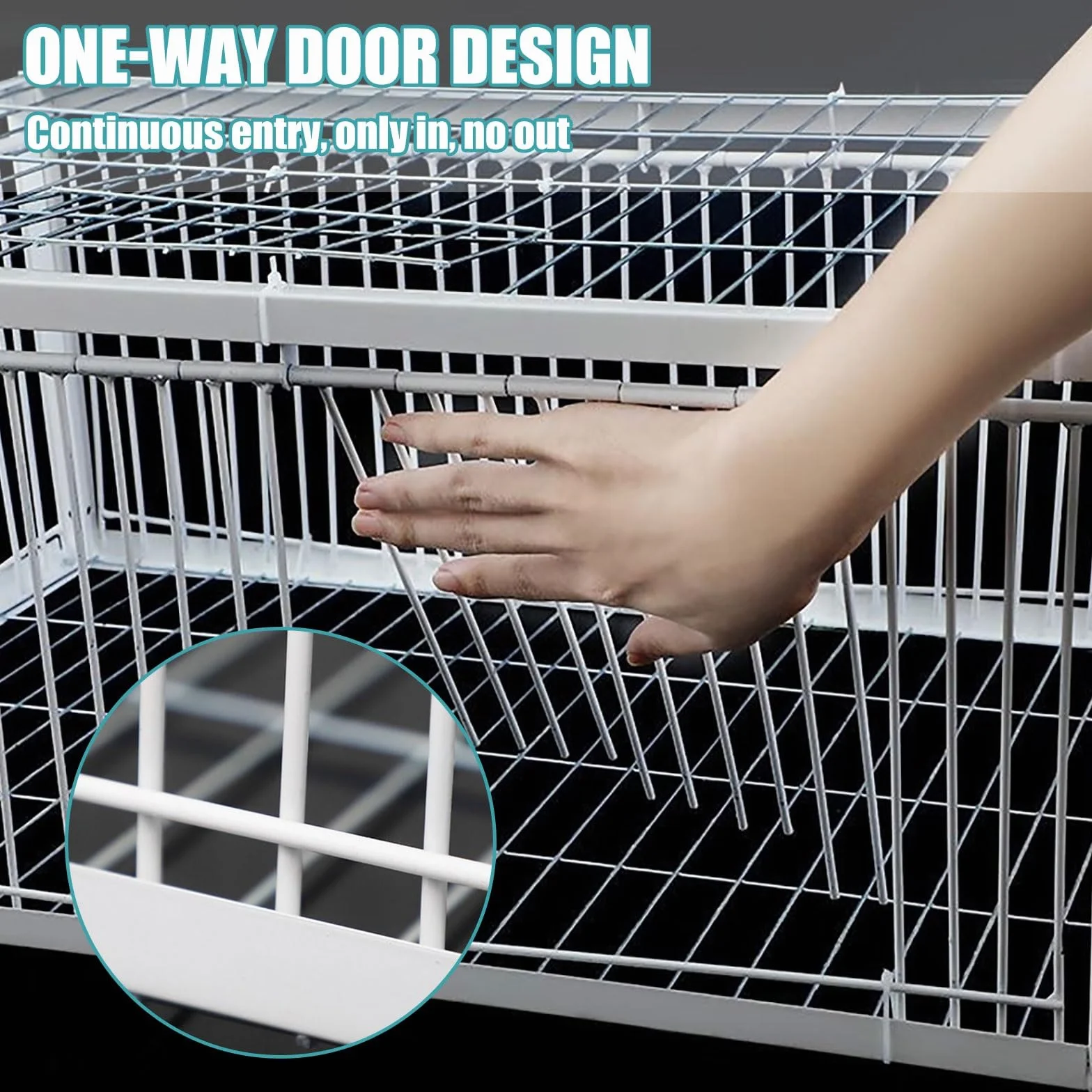 Trampa Para Pájaros Con Entrada Unidireccional Jaula Trampa Para Palomas Fácil De Montar Con Diseño A Prueba De Fugas Portátil 4 Importada Recolección Automática De Palomas Adecuada(90x40x26CM)