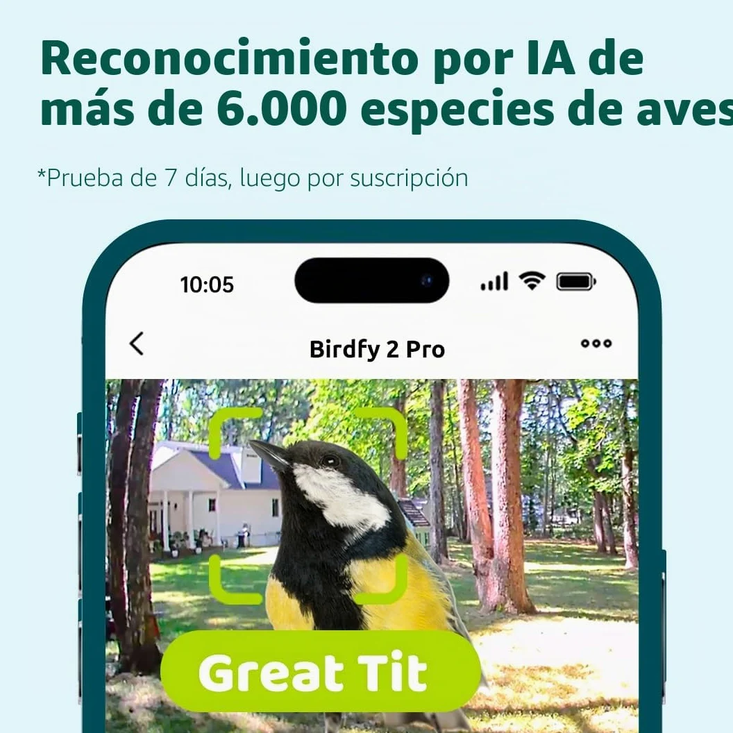 Birdfy 2 Pro - Alimentador de pájaros con 2 K Dual-Camera para observación, identificación de Especies de Aves AI, Video a cámara Lenta, visión Nocturna en Color, notificaciones en Tiempo Real