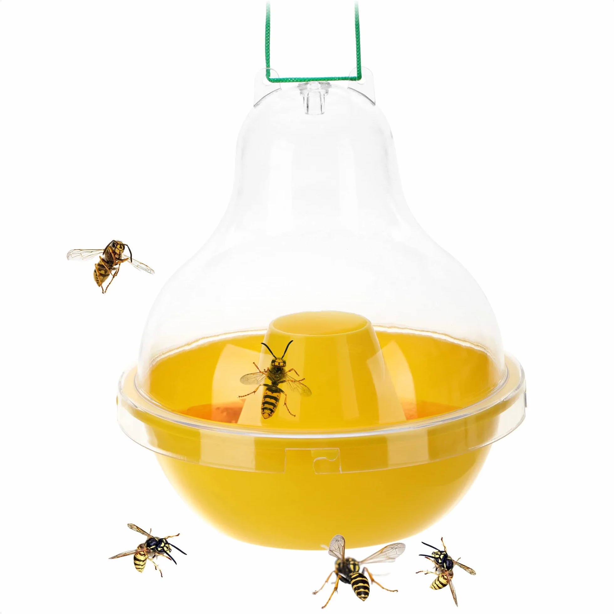 COM-FOUR® Trampa para Insectos XXL de plástico - Trampa viva Protectora de la Naturaleza para Colgar - Atrapa Insectos con Tapa extraíble - Control Humanitario de Insectos - Repelente de Insectos