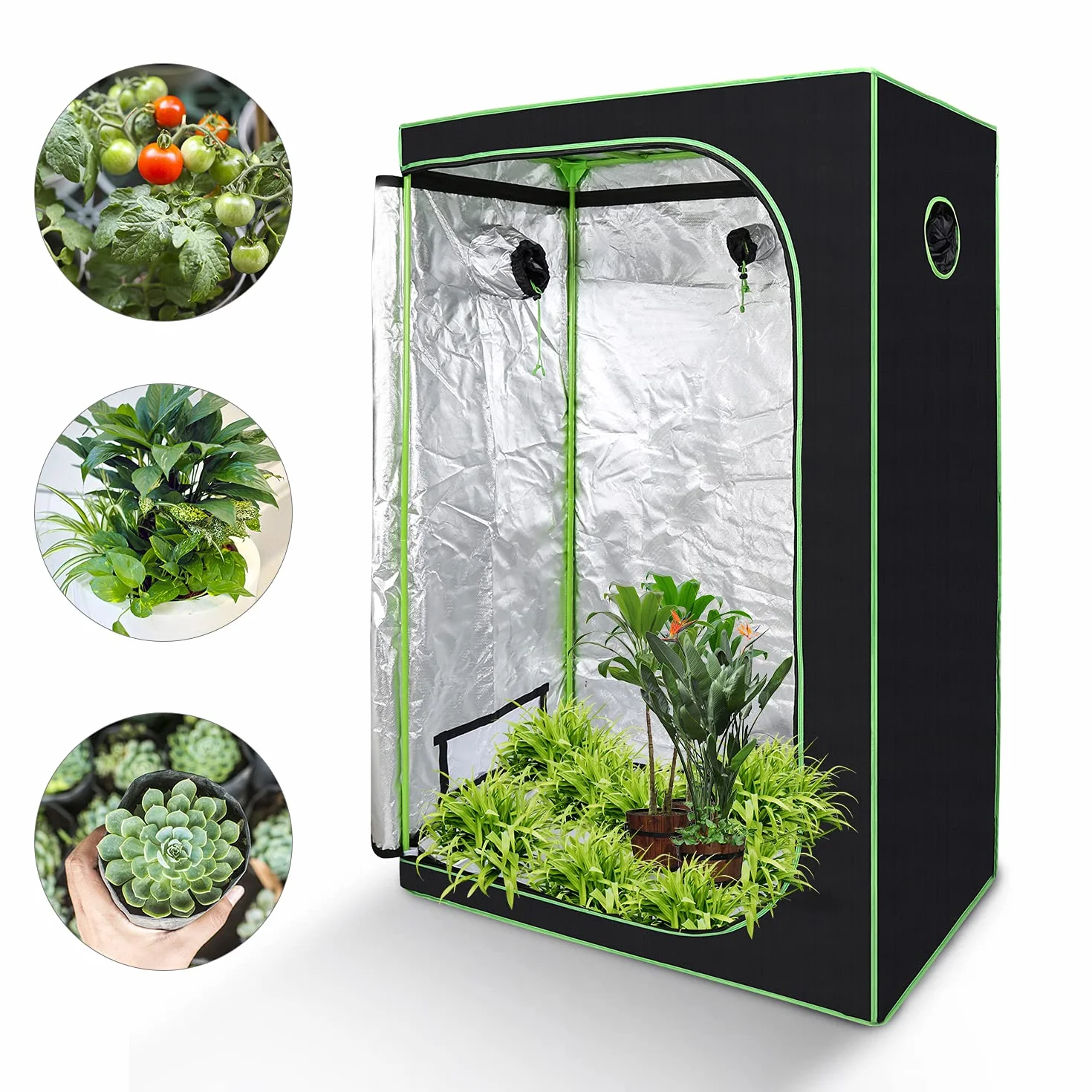 Lospitch Tienda de cultivo para cultivo | Armario de cultivo | Carpa de cultivo | Resistente al agua y a la luz | Invernadero para plantas | 600D Oxford 120x60 x180 cm, Negro Verde
