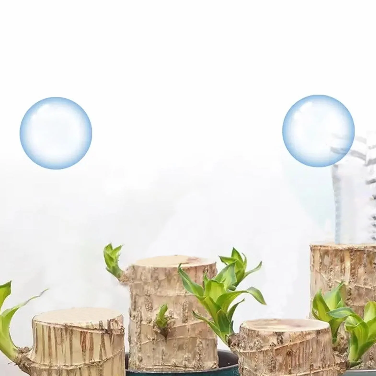 Alimento para plantas de madera brasileña, fertilizante líquido de bambú de 100ml, fertilizante para plantas de interior de madera brasileña de la suerte, fertilizante líquido para plantas de interior