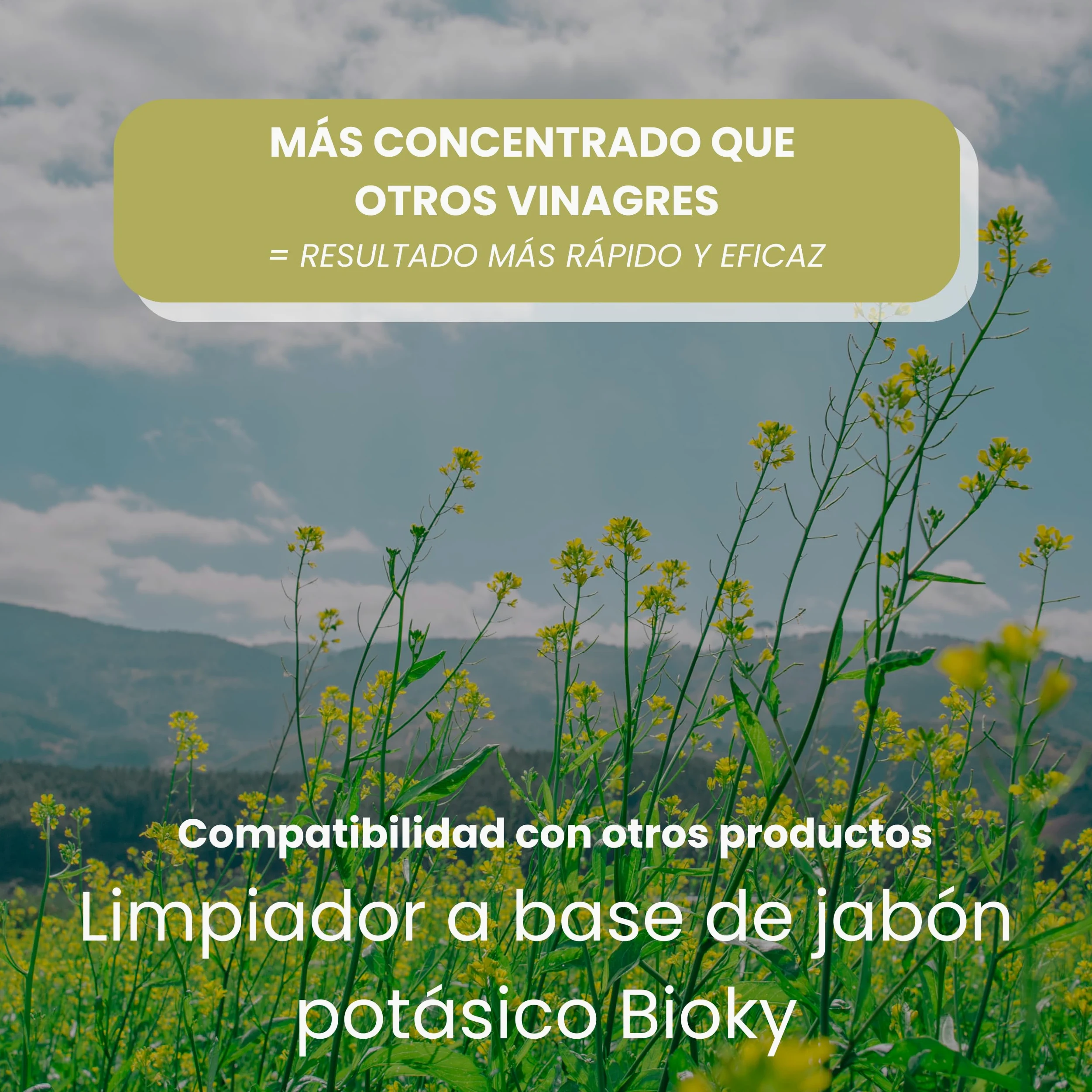 Vinagre Concentrado al 20% - 20L – Origen Natural de Alcohol de Cereal – Sin Residuo - Acción Limpiador Profundo - Elimina Moho y Hongos (20L)