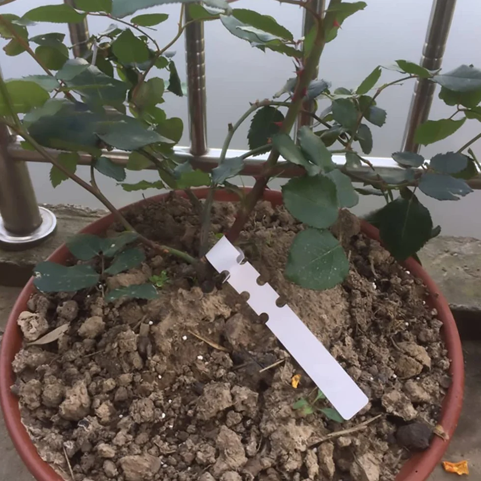 100 Piezas Etiquetas para Plantas, Etiquetas de Plástico para Árboles, Envolventes para Colgar Plantas, Impermeables para Jardín, y para Guardería