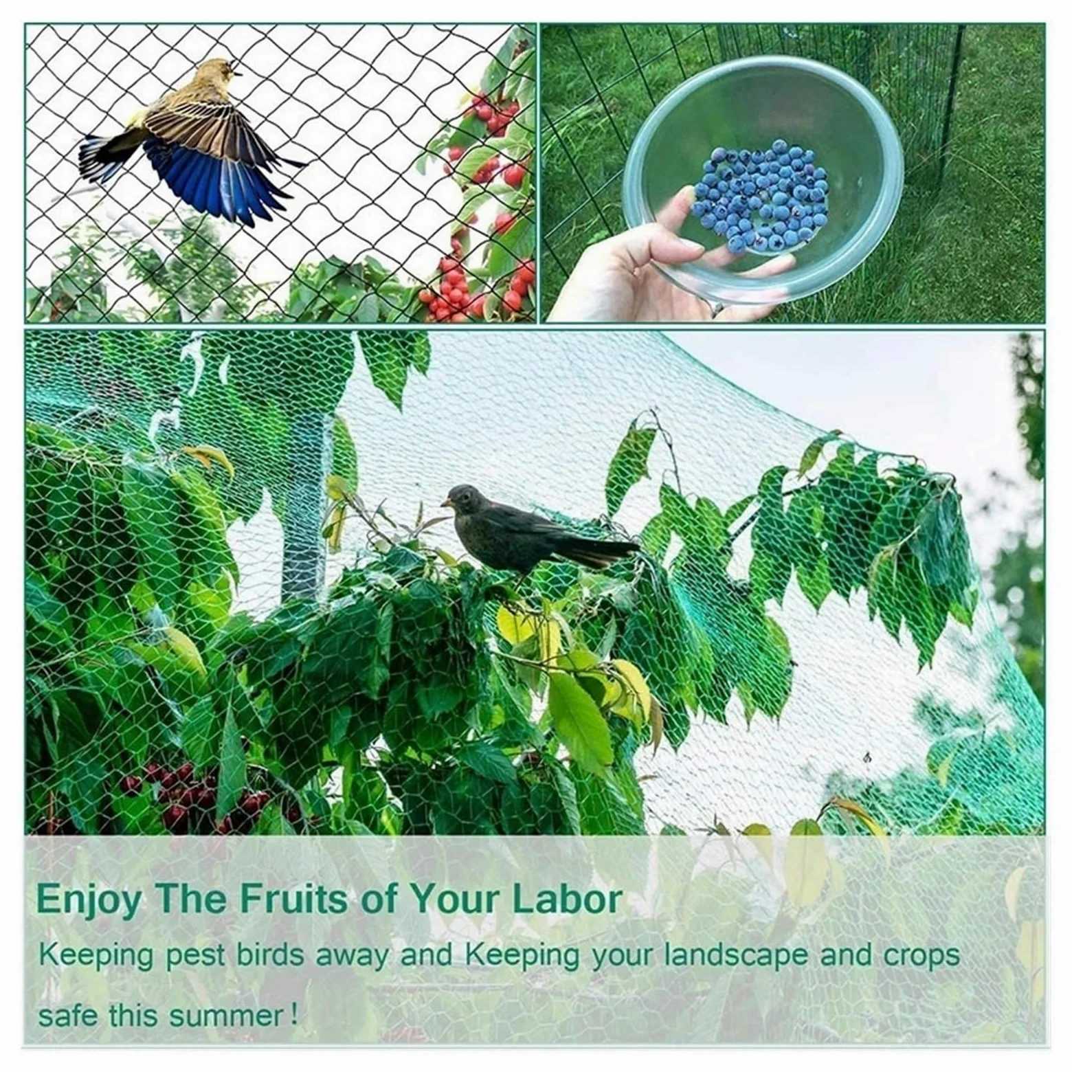 Red de protección de frutas de jardín de nailon de 4 m x 10 m, red de enrejado verde, reutilizable, cubierta de plantas, malla antipájaros, para árboles, vegetales, jardín, red al aire libre