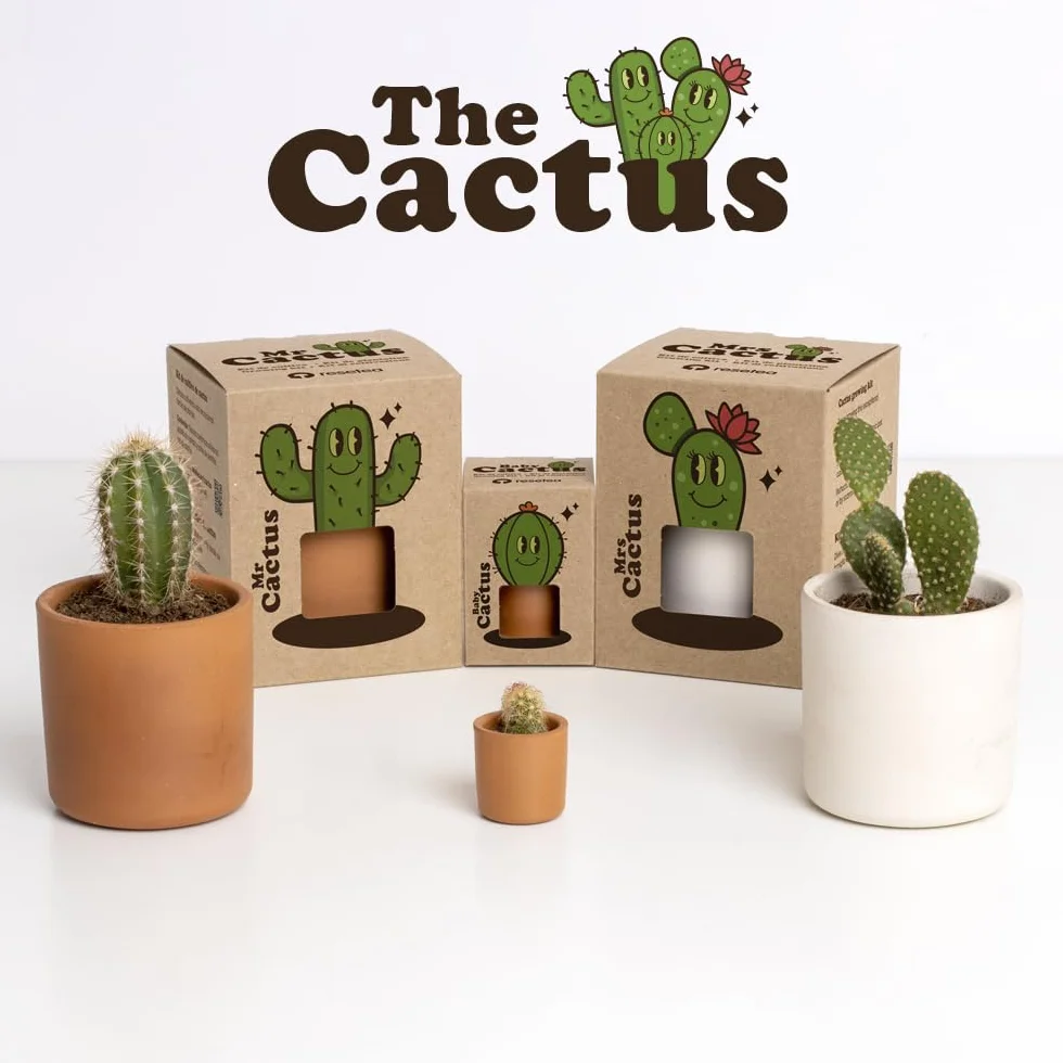 Baby Cactus – Kit de Cultivo de Cactus con Maceta de Barro Artesanal | Fácil de Cuidar | Regalo Original y Decorativo | Resetea