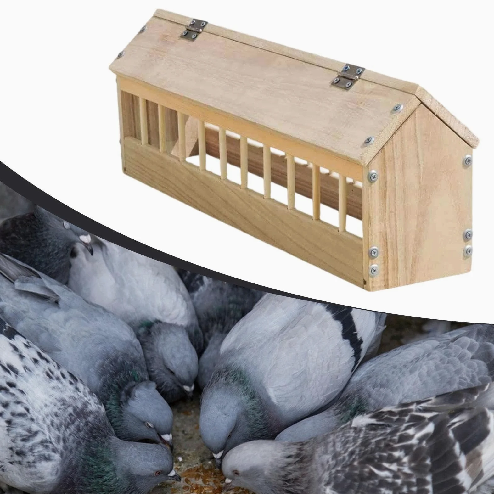 Colcolo Comedero de Madera para Palomas, contenedor dispensador de Comida para Aves, comedero para Palomas, codornices y Granjas, 60cm