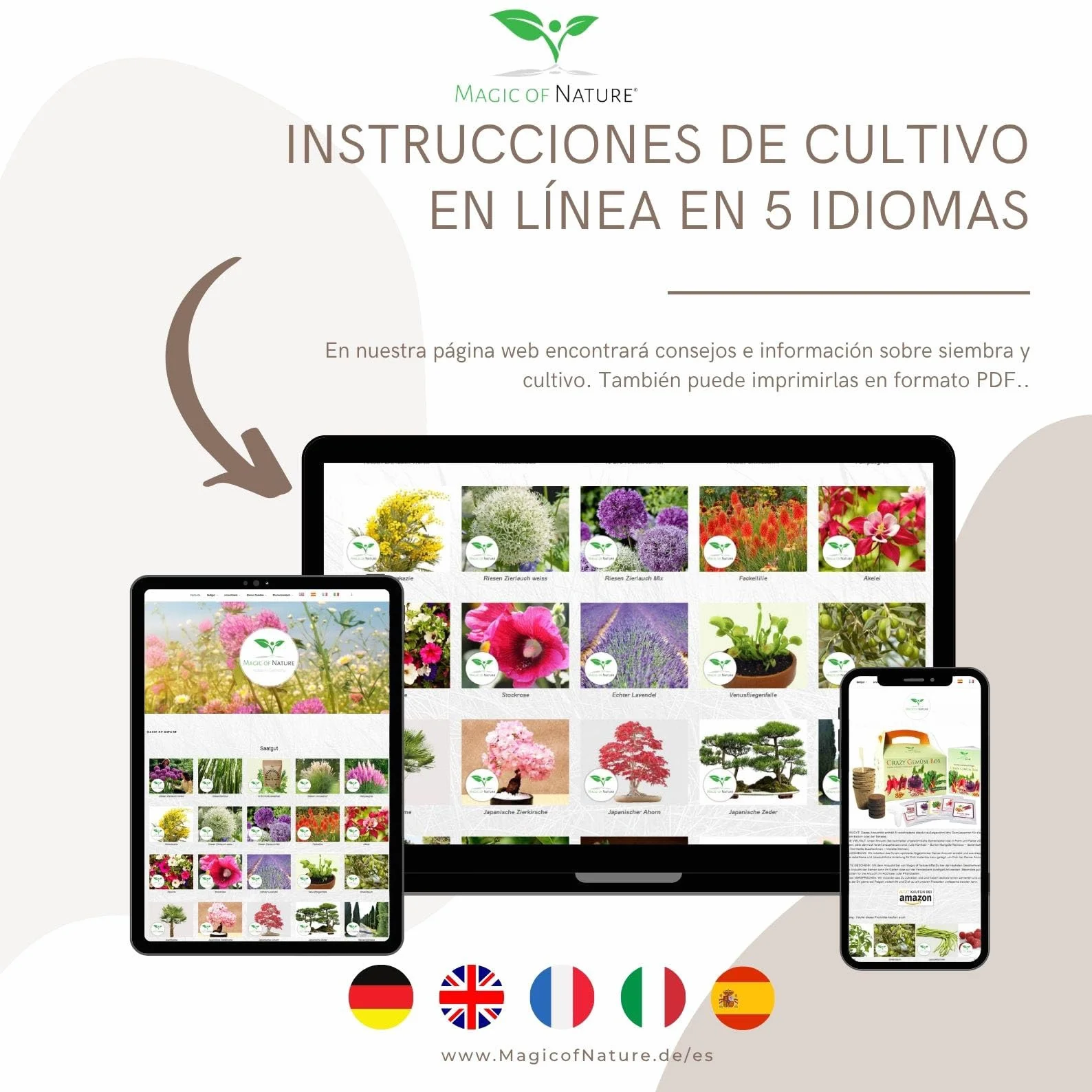 Magic of Nature Semillas de Olivo - 10 Ud. Olea europaea Olivo Mediterráneo para Jardín Balcón & Bonsái - Huesos de Árbol de Aceite Reales