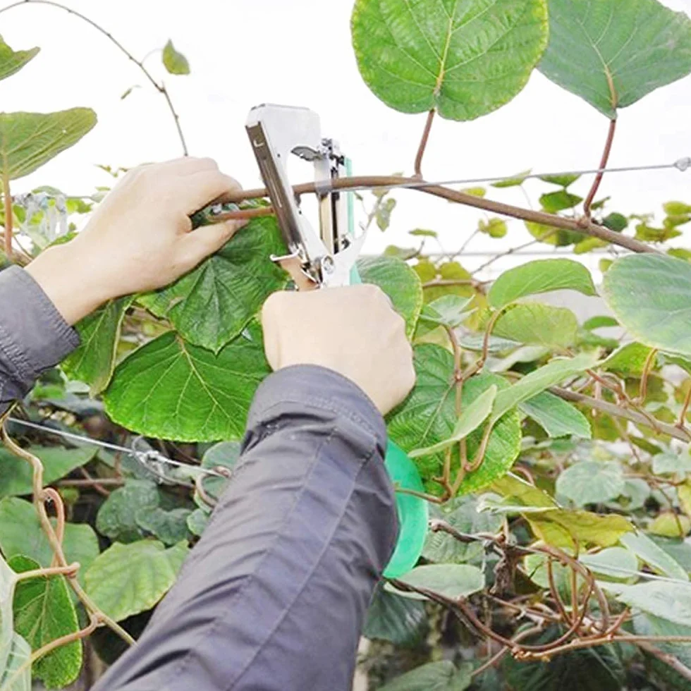 Gelrova Maquina para Atar,Herramienta de Cinta de Jardín para Atar Ramas de Plantas, Atadora Agricola para Atadora de Tomates, para Viñedo Pepino UVA Fruta Flores Vegetales,Jardín Tape Tool
