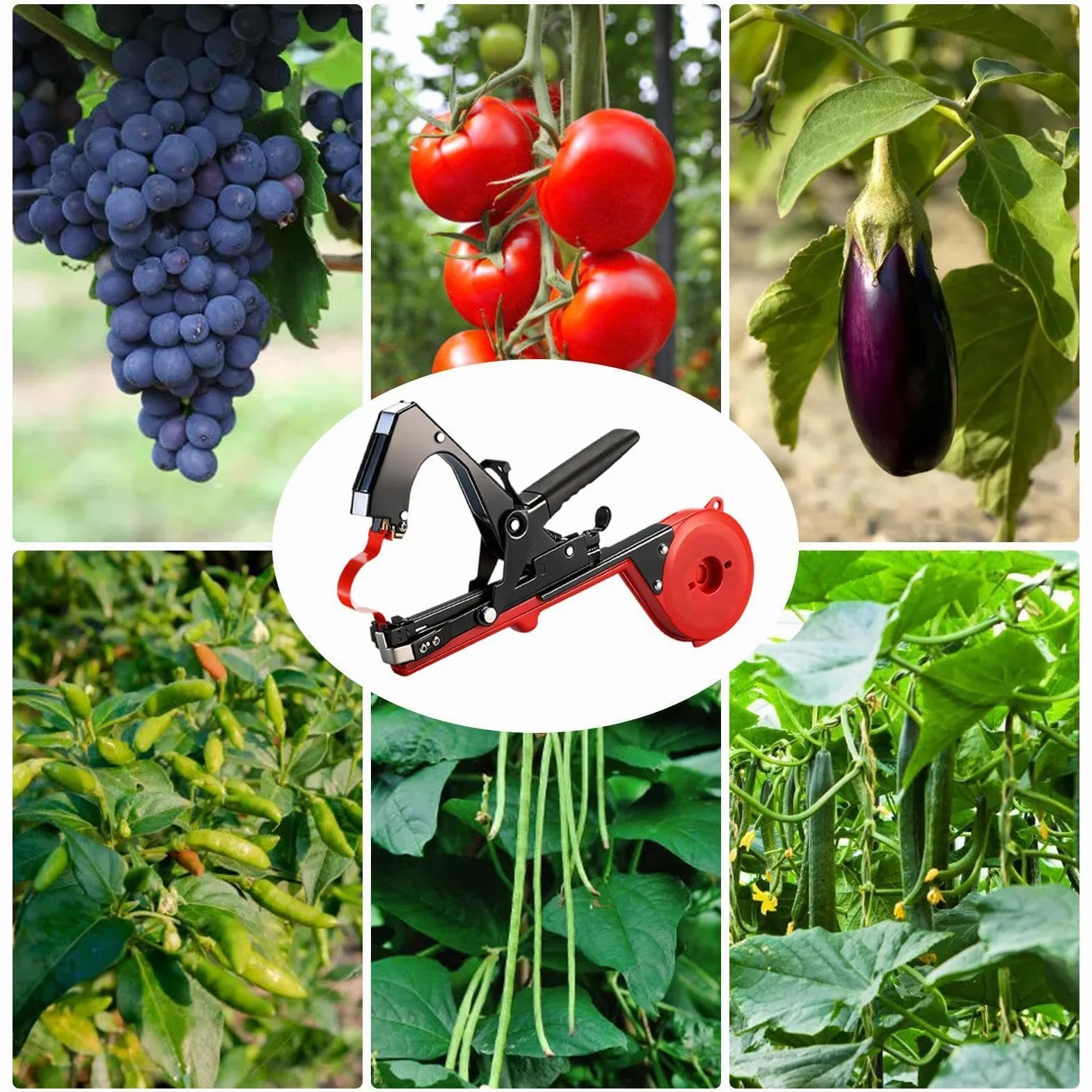 Máquina atadora de vides – Herramienta ergonómica de mano de trabajo resistente para ahorro de mano de obra, herramienta de cinta de ramas de soporte floral – para vid, tomate, pepino, uva, pimientos
