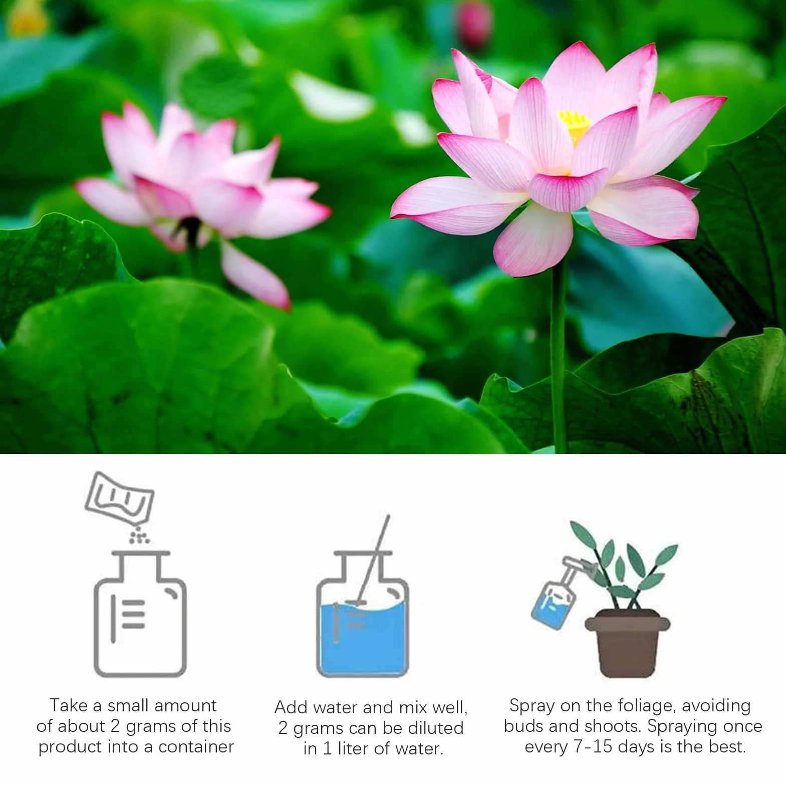 Fertilizante de plantas de agua - Polvo de crecimiento de loto | Fertilizante Sea de 200 g | Fertilizante de flores de flor de planta efectiva, en nutrientes