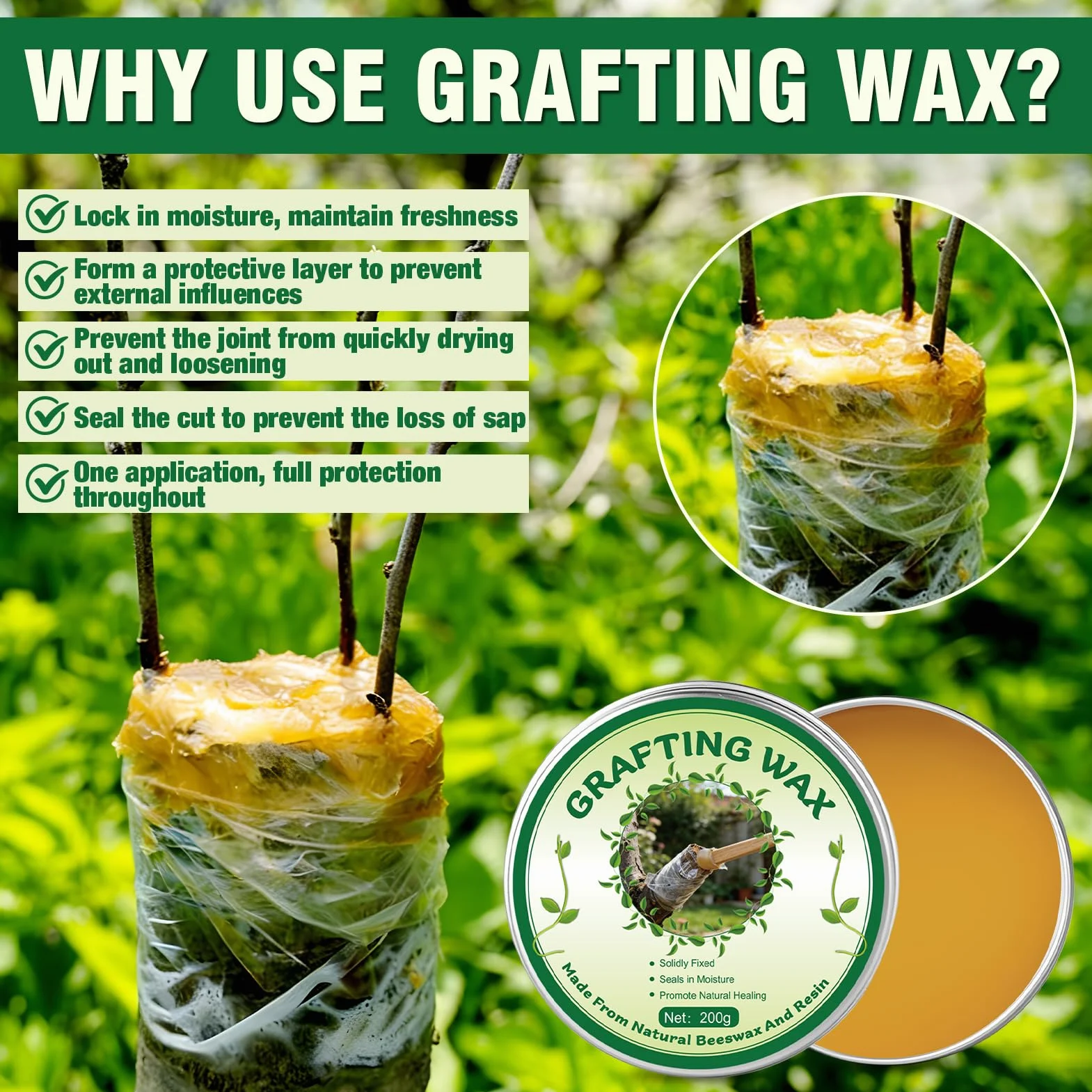Juego de Ceras para Injertos de Arboles, Pasta Cicatrizante Poda, Cinta para Injertar, Apto Para la CicatrizacióN de Injertos en Rosales, ARboles Frutales, BonsáIs, Arbustos y Otras Planta, 200G