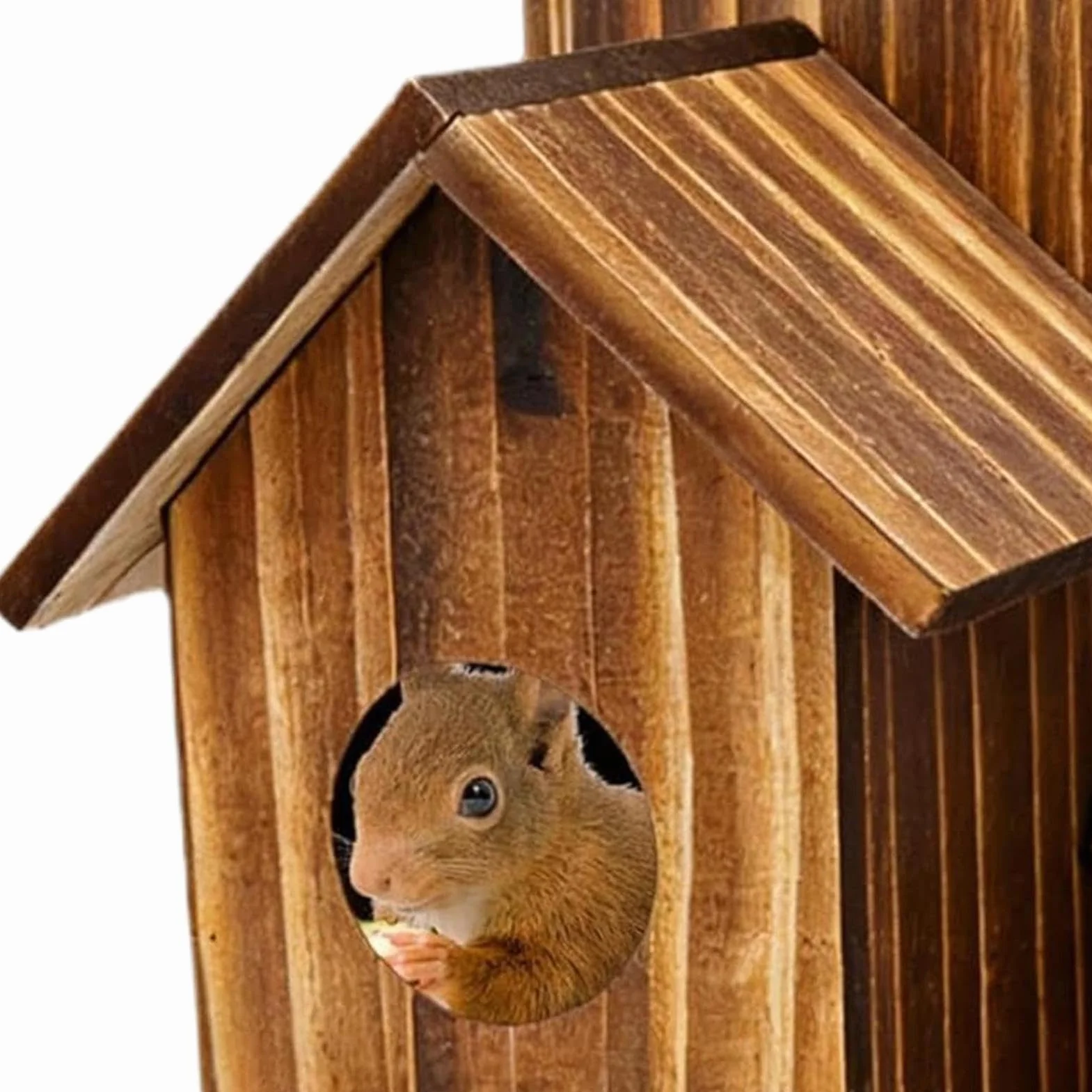 Casita para Ardillas, Cuenco con Toldo Chipmunk - Caseta de Agua para Ardillas,De Exterior, Patio, Jardín, Terraza, Árbol, Ventana, Pícnic, Casa Ardillas, Hogar Pájaros, Zona Juegos