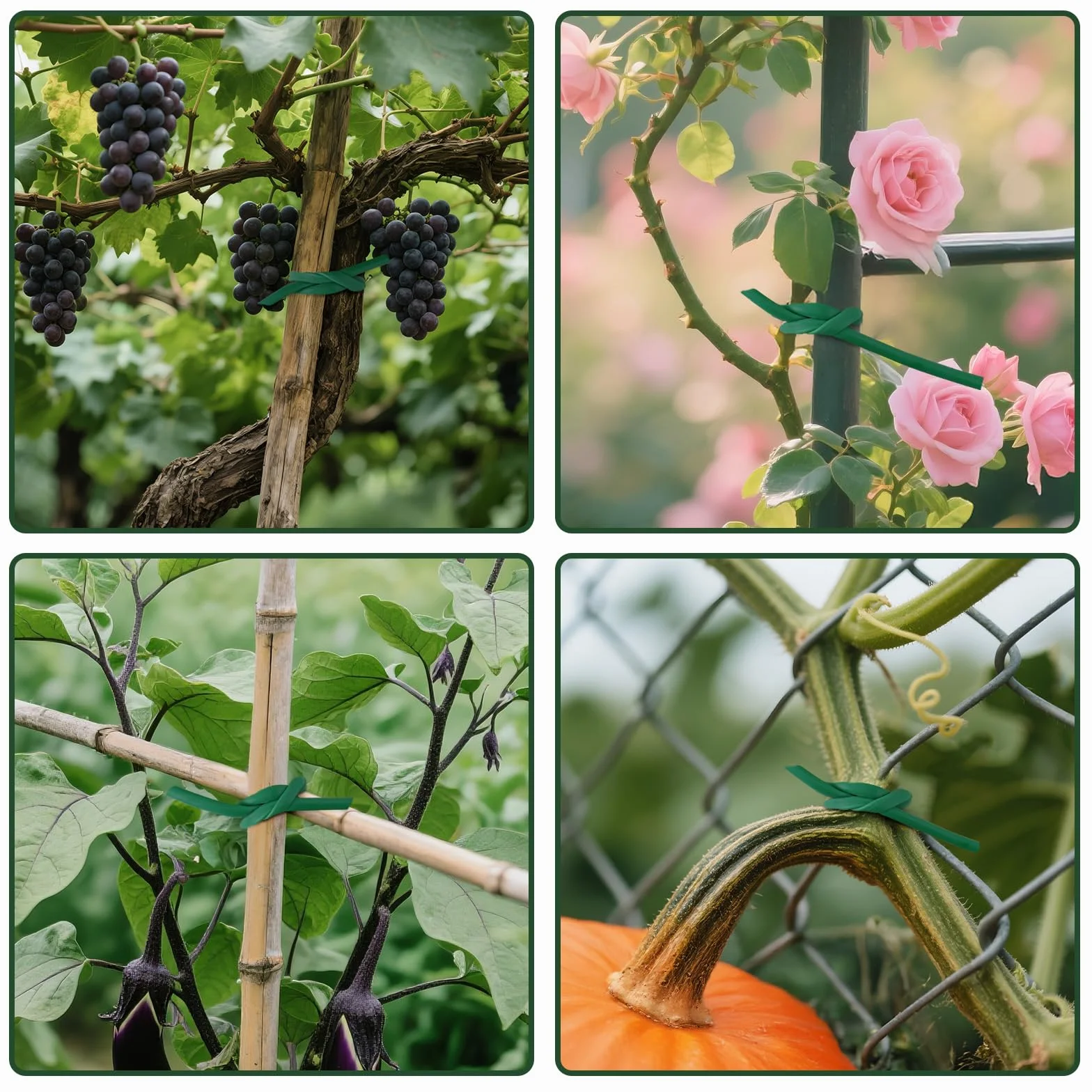 KINGLAKE Tubo de Atado Flexible, Cinta de Jardín Verde de 3mm x 50m para Plantas Trepadoras, Cuerda de Jardín de Plástico para Tomates, Rosas, Soporte para Vegetales