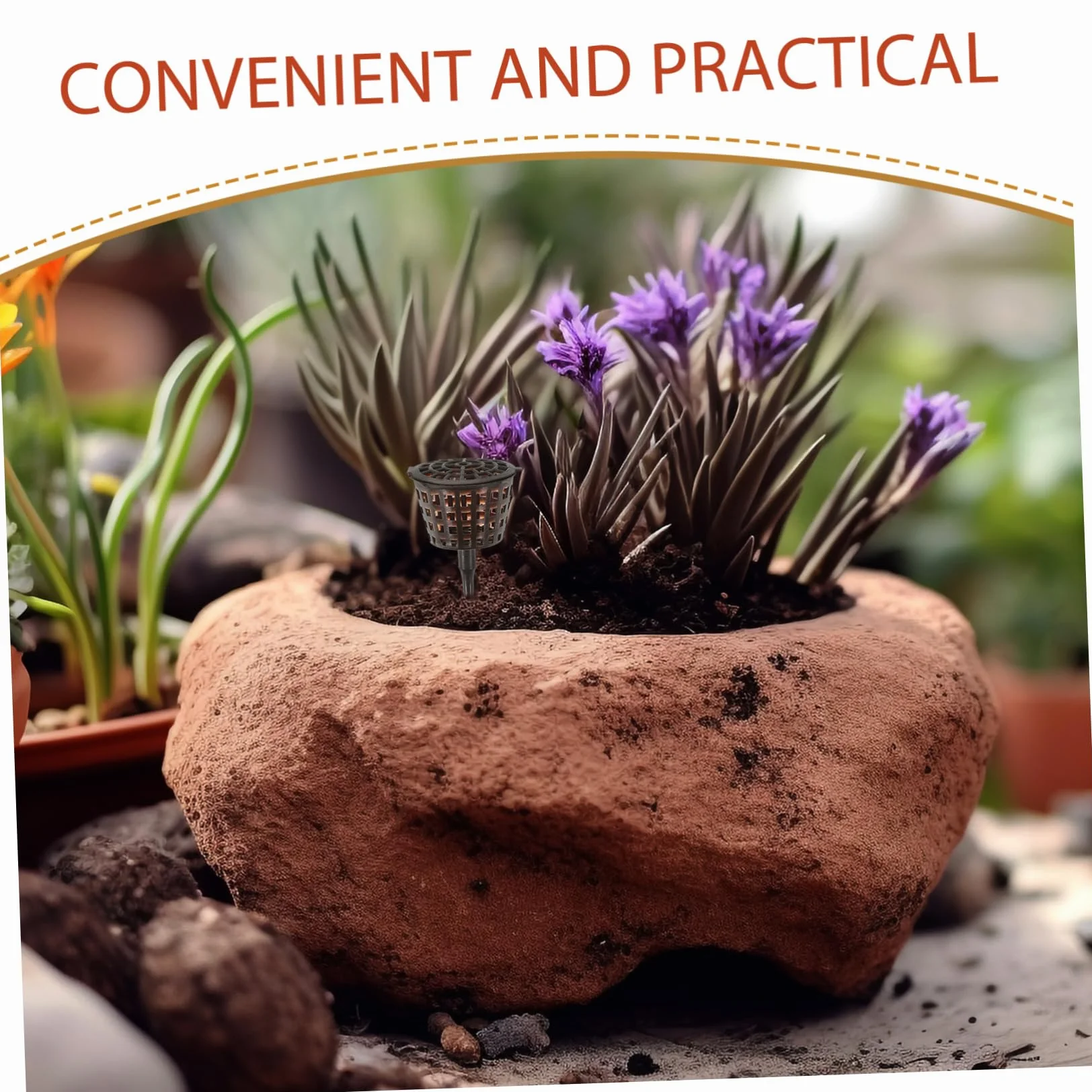 Caja De Fertilizante para Bonsái 20 Piezas con Tapa Contenedor De Abono para Plantas Pequeñas Protector contra Animales Y Viento Ideal para Orquídeas Y Jardín