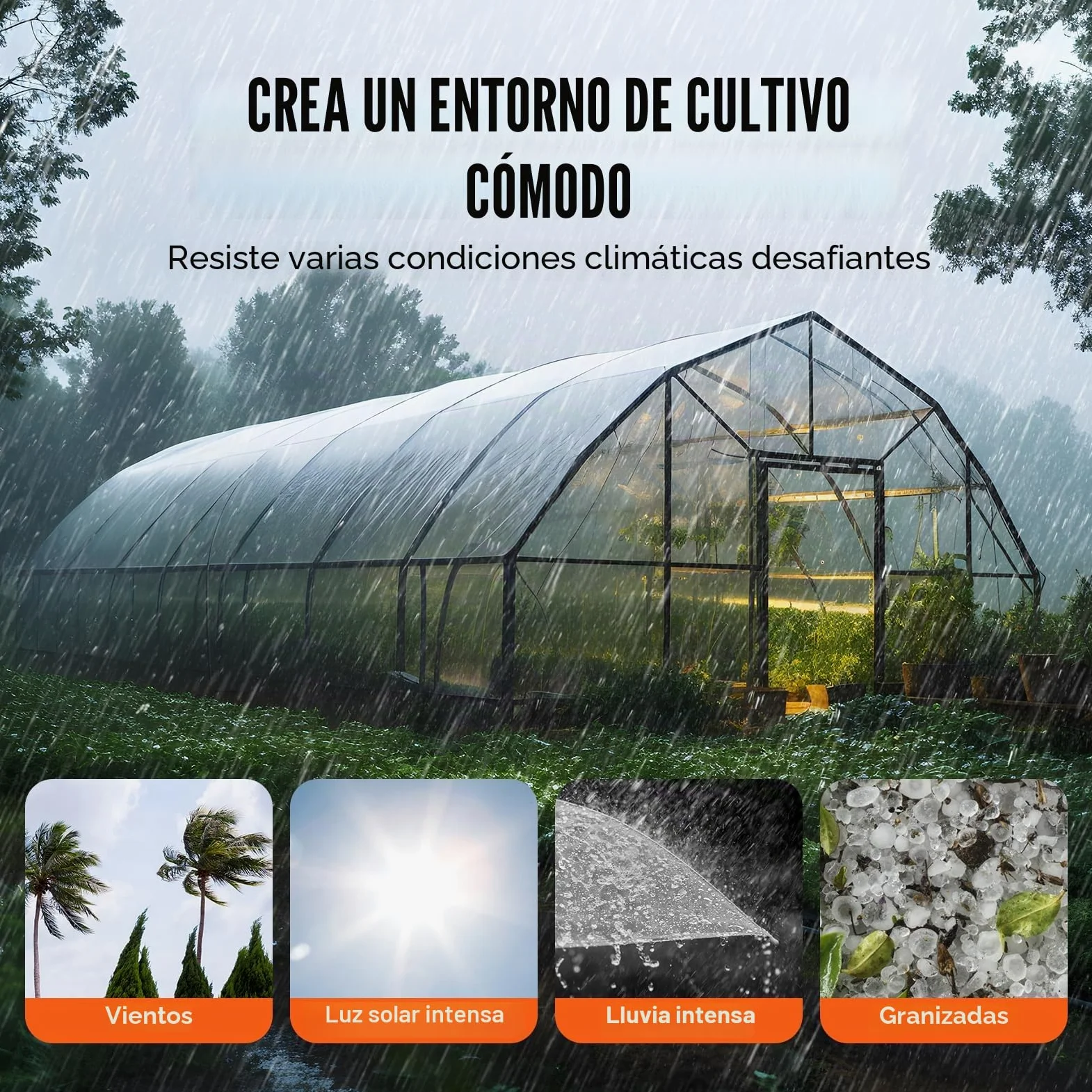VEVOR Cubierta de Invernadero Cubierta de Plástico Transparente para Invernadero 7,6x7,6 m​ Espesor de Película de Polietileno 6 mils Resistente a los Rayos UV Protección para Jardinería, Agricultura