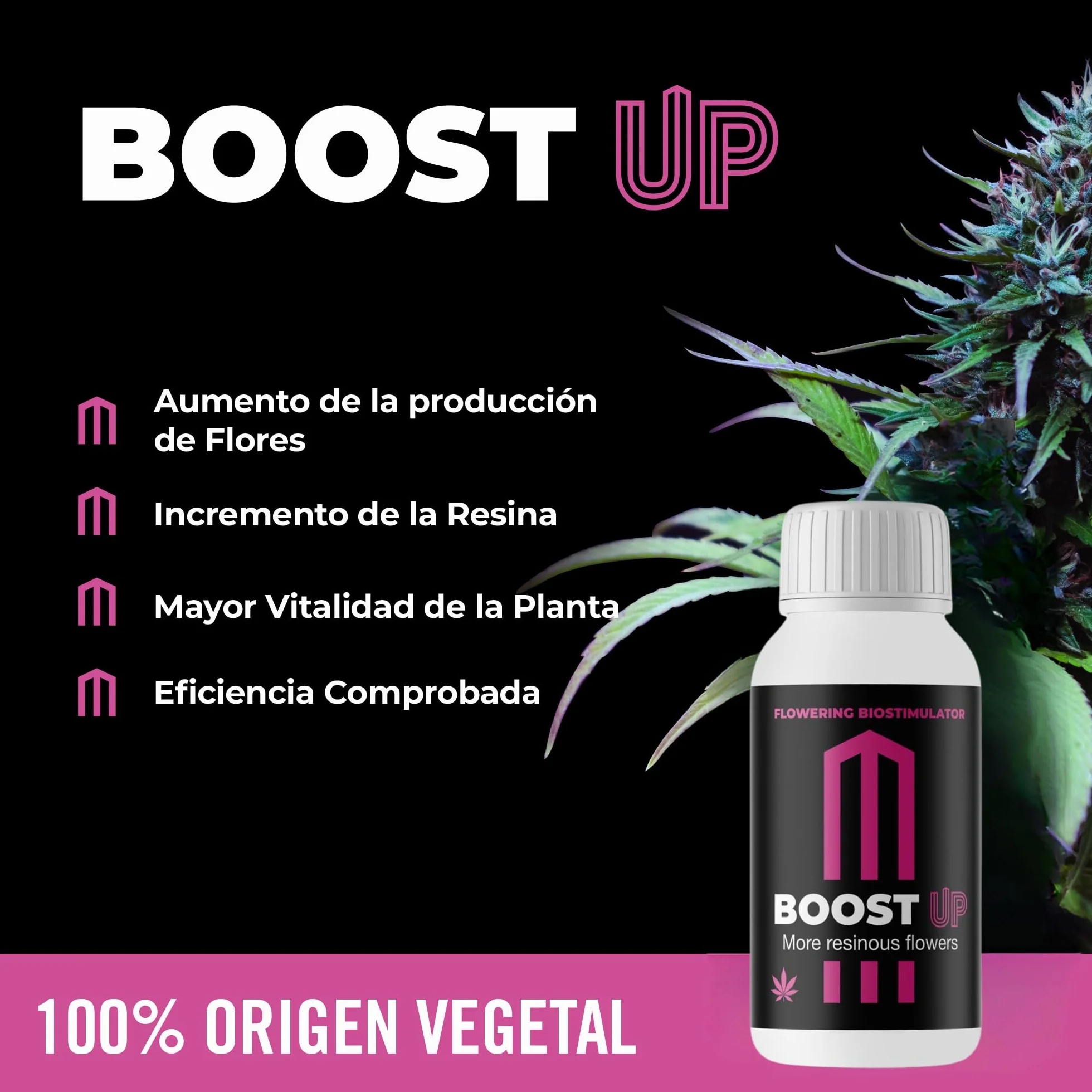 GROWMANIA Biobizz pH + Plus 250 ml + pH – Menos 250 ml líquido + Up Nutrients Boost Up + Vaso Medidor | Superpack Ph up and Ph Down and Boost | Abono elevador de pH para plantas de cultivo