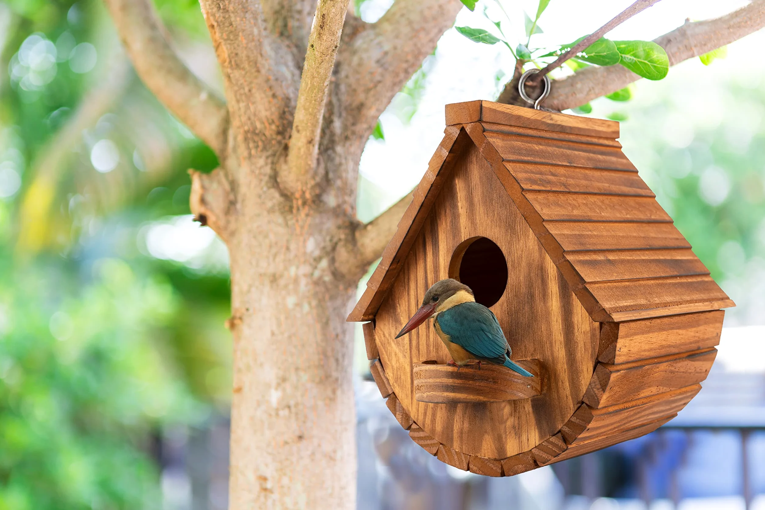 MIXUMON Casas de pájaros para exteriores, 3 agujeros para exteriores, para 3 familias de pájaros, pinzón de azulejo cardenales, casa de pájaros colgante para jardín (juego 1)