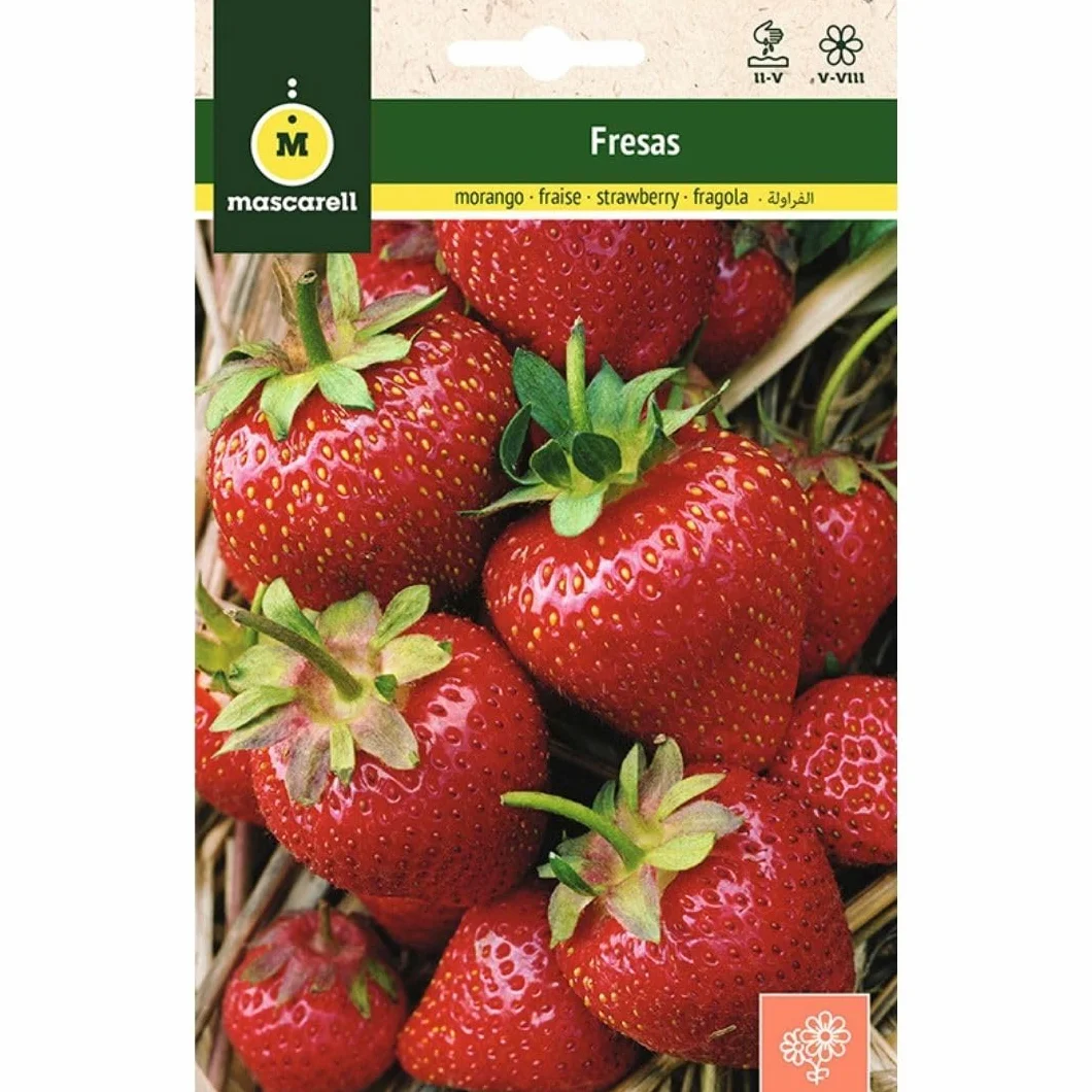 Mascarell Semillas, FRESAS, Semillas Flores Exterior para Decoración, 0,2 Gramos