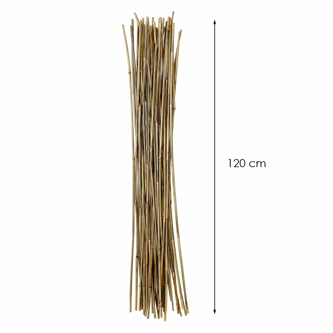 Acomoda Textil - Tutores de Bambú para Agricultura y Jardinería - Pack 30 Varillas Estables y Robustas (120 cm, 8/11 mm)