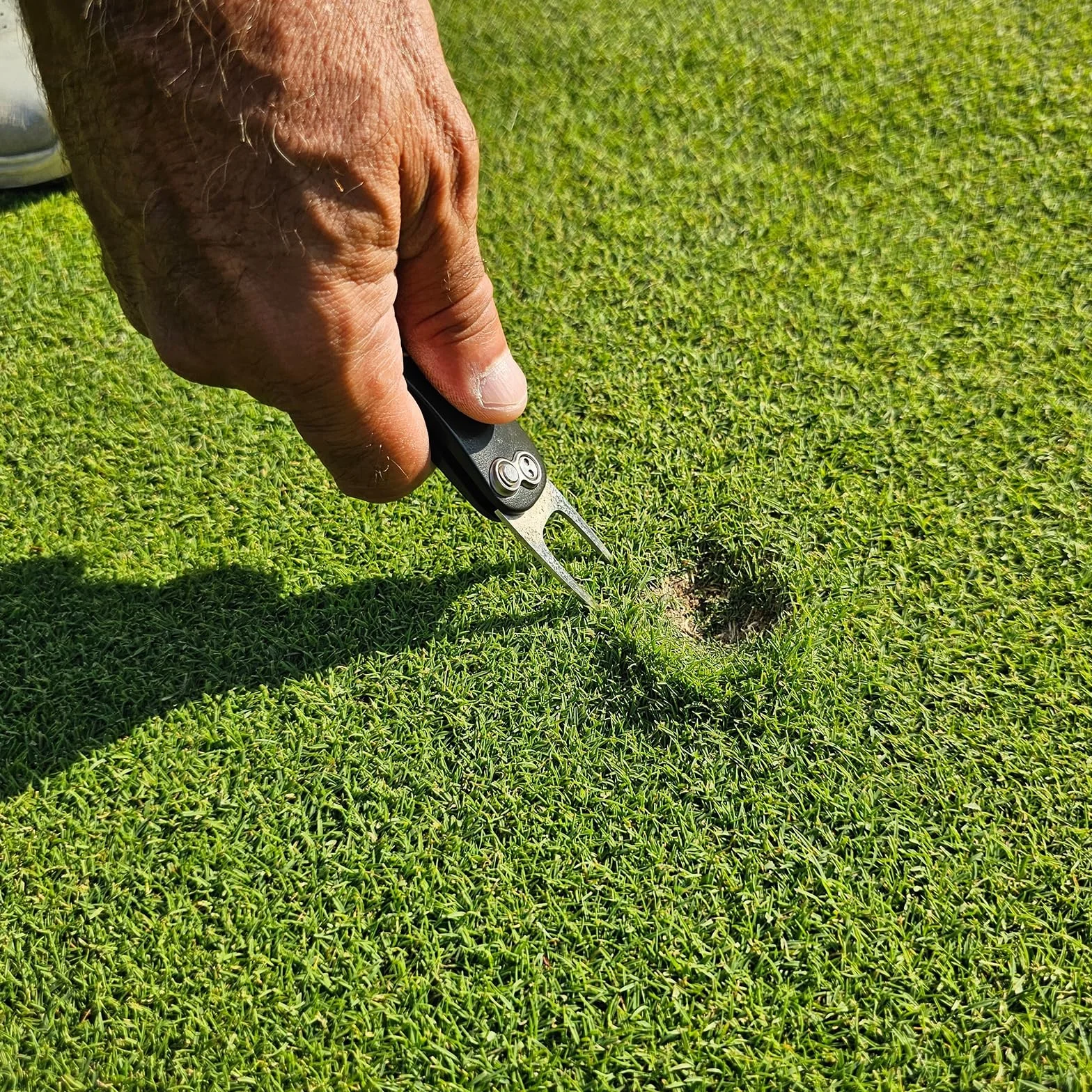 PATIKIL Herramienta de reparación de divot de golf plegable de metal verde con marcador magnético y horquilla de acero inoxidable
