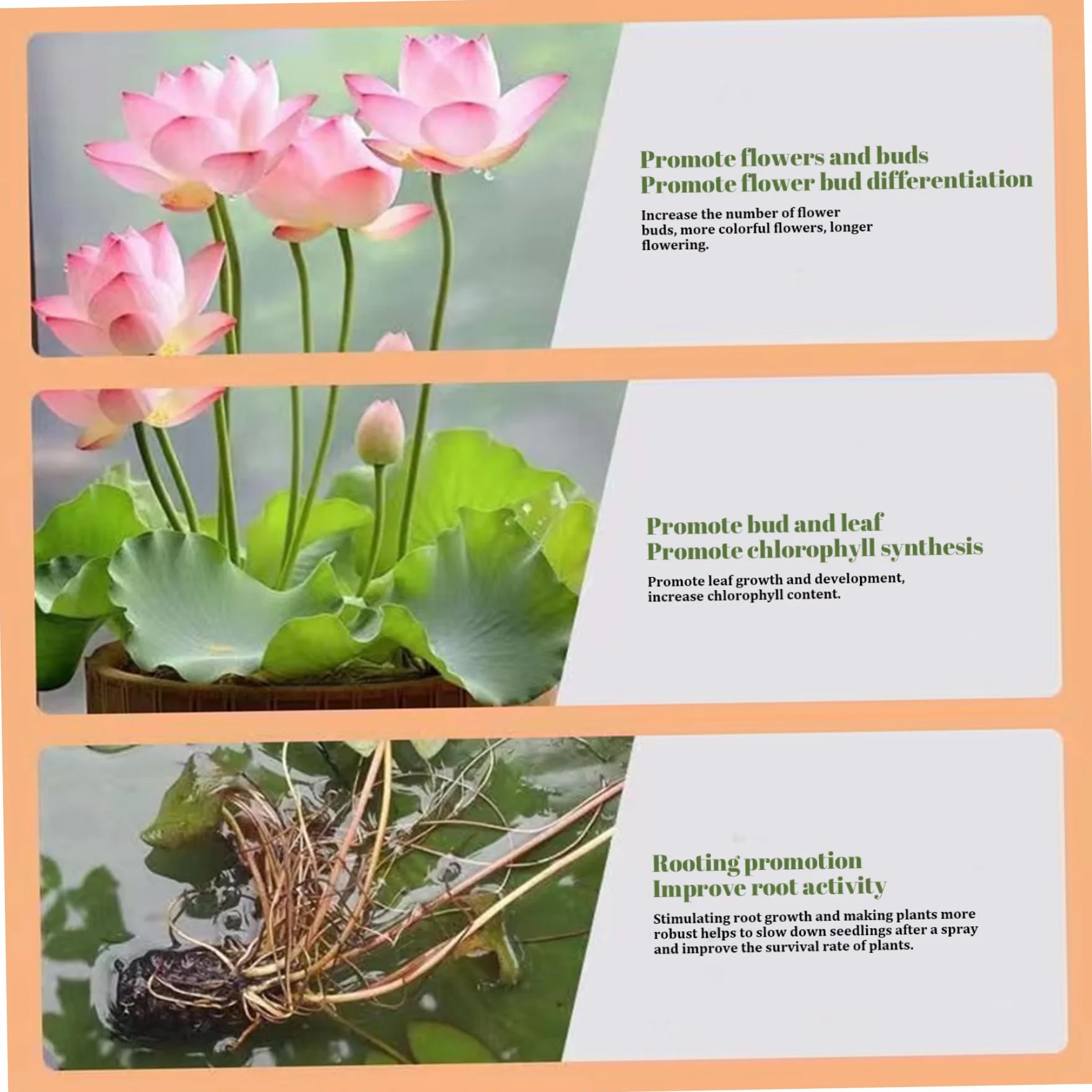 Fertilizante de plantas acuáticas, fertilizante de plantas de acuario de 200 g, lirio de agua de estanque, alimentos de loto de crecimiento efectivo, fertilizantes de agua nutrientes de loto para t