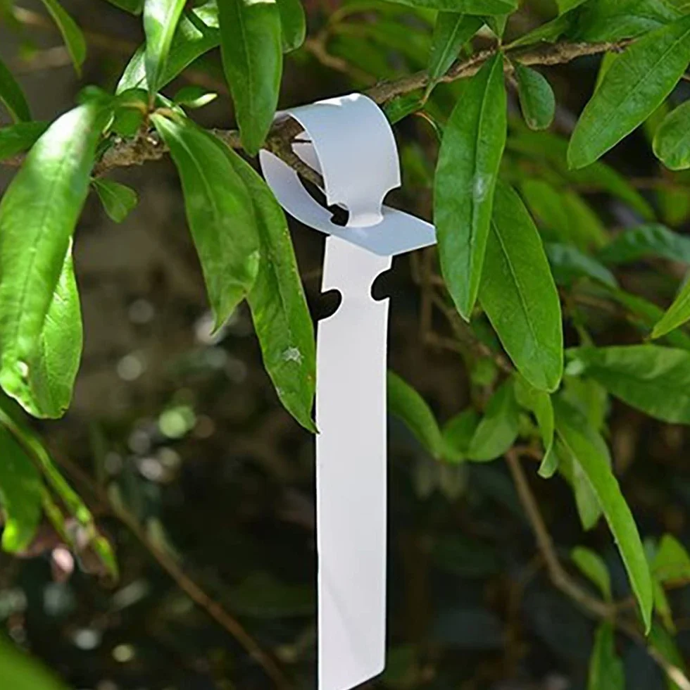 100 Piezas Etiquetas para Plantas, Etiquetas de Plástico para Árboles, Envolventes para Colgar Plantas, Impermeables para Jardín, y para Guardería