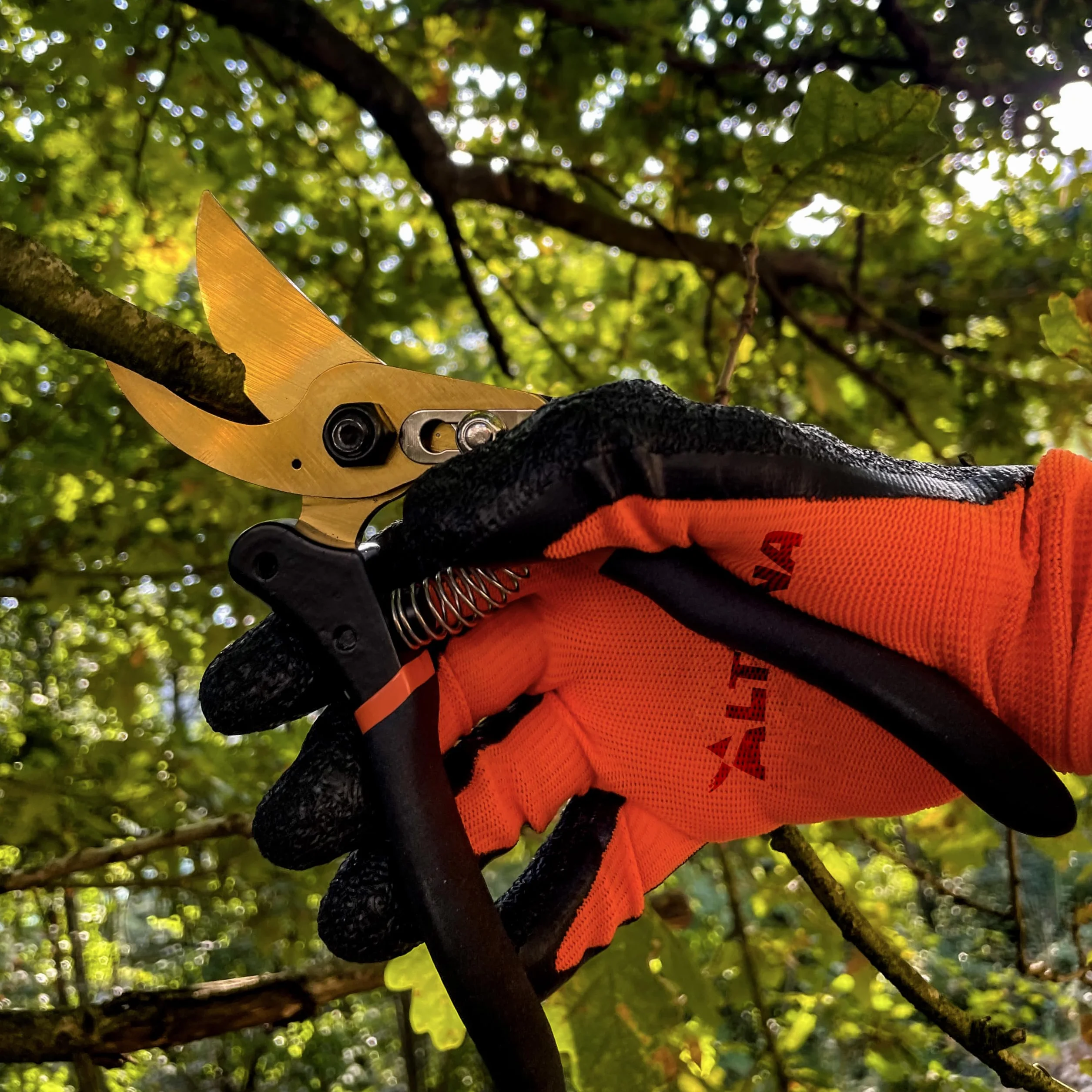 Altuna TR15 - Tijeras de Podar de Titanio - Tijera de Jardín Profesional con Hoja SK5 - Corte Bypass Preciso - Mango Metálico Antideslizante - Diseño Ergonómico - Ideal para Regalo - Caja Incluida