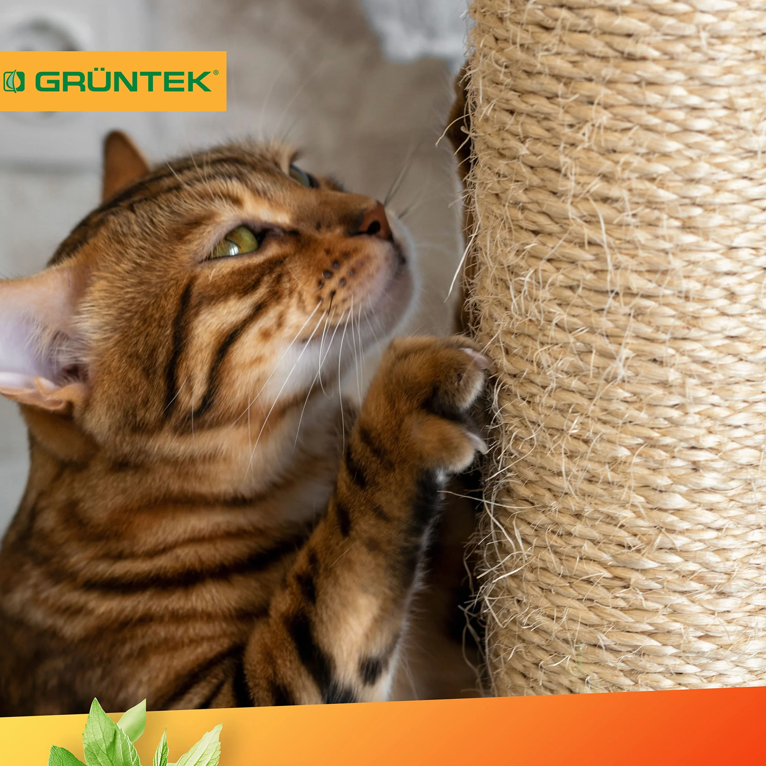 GRÜNTEK Cuerda de Yute Natural 6mm Cordel Sisal Rascador para Gatos 6mm x 1 Rollo 60 M - Cuerda Manualidades Hilo macramé para jardinería decoración Tarjetas de Regalo